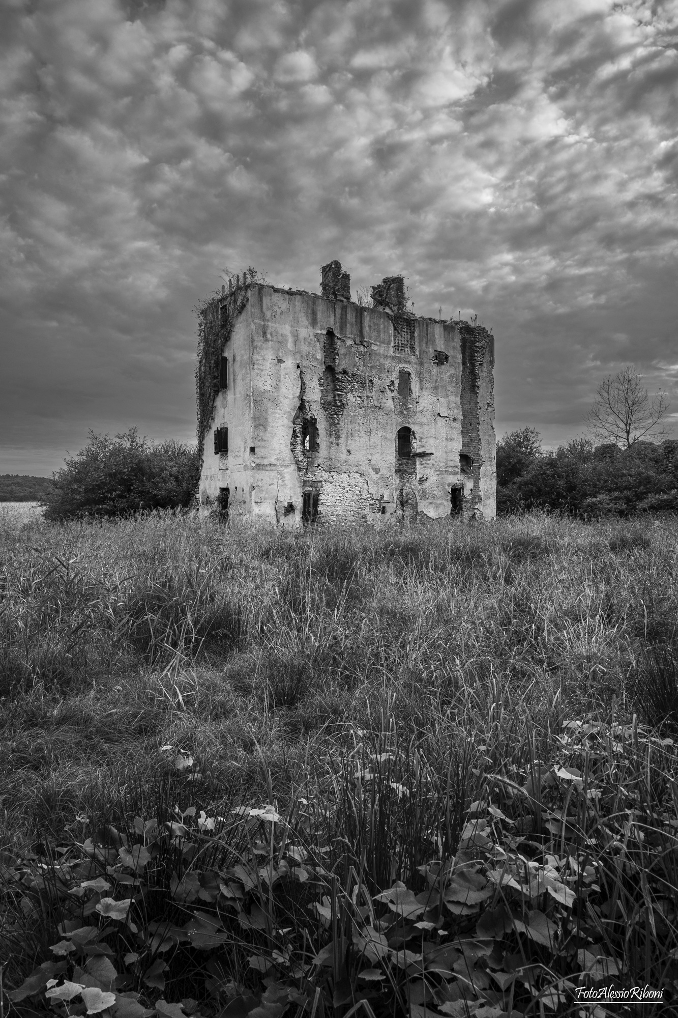 L'uomo crea la natura riprende