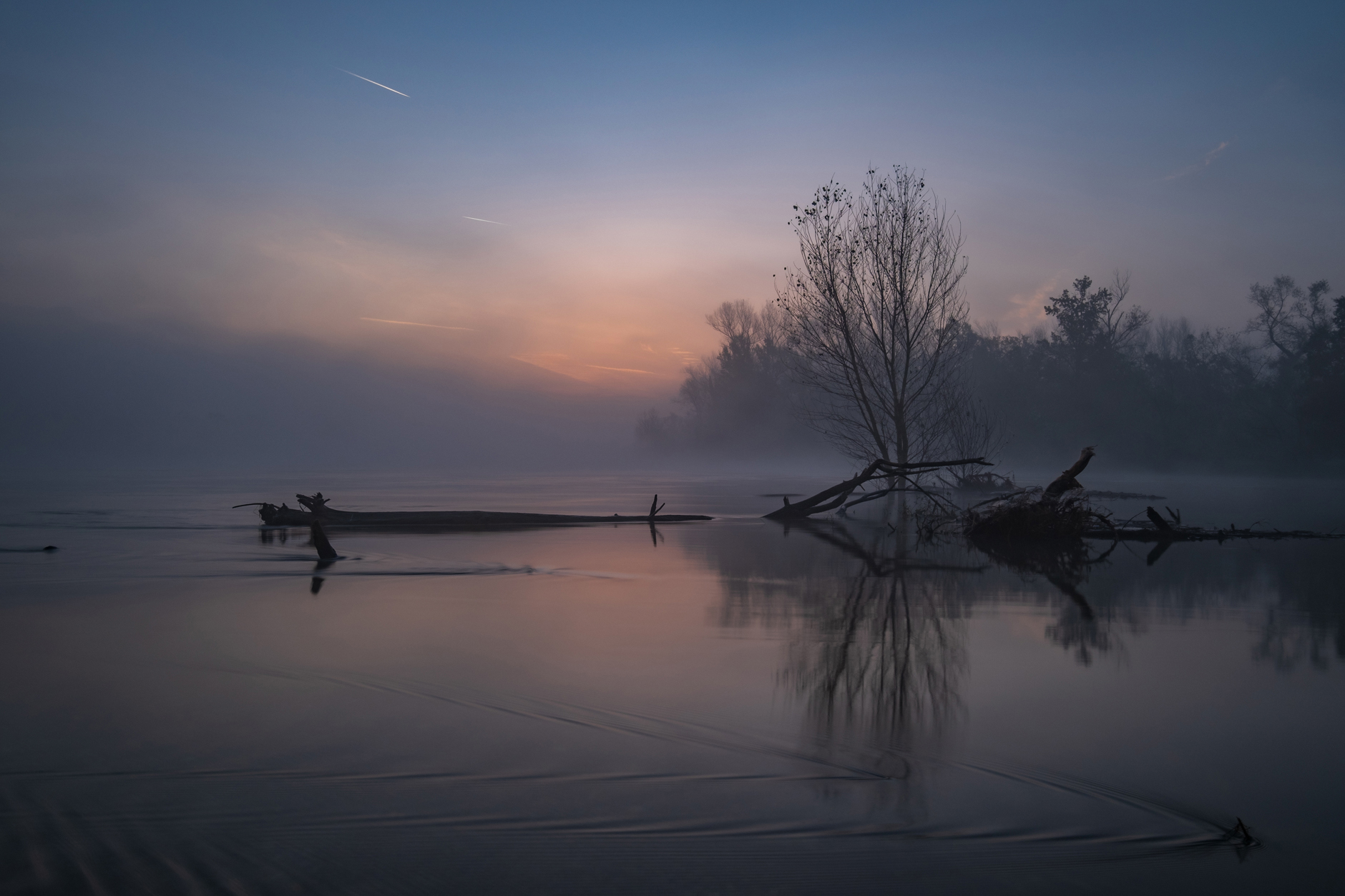 Untitled Photo