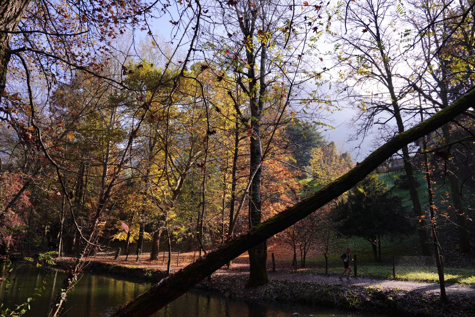 Autumn runner