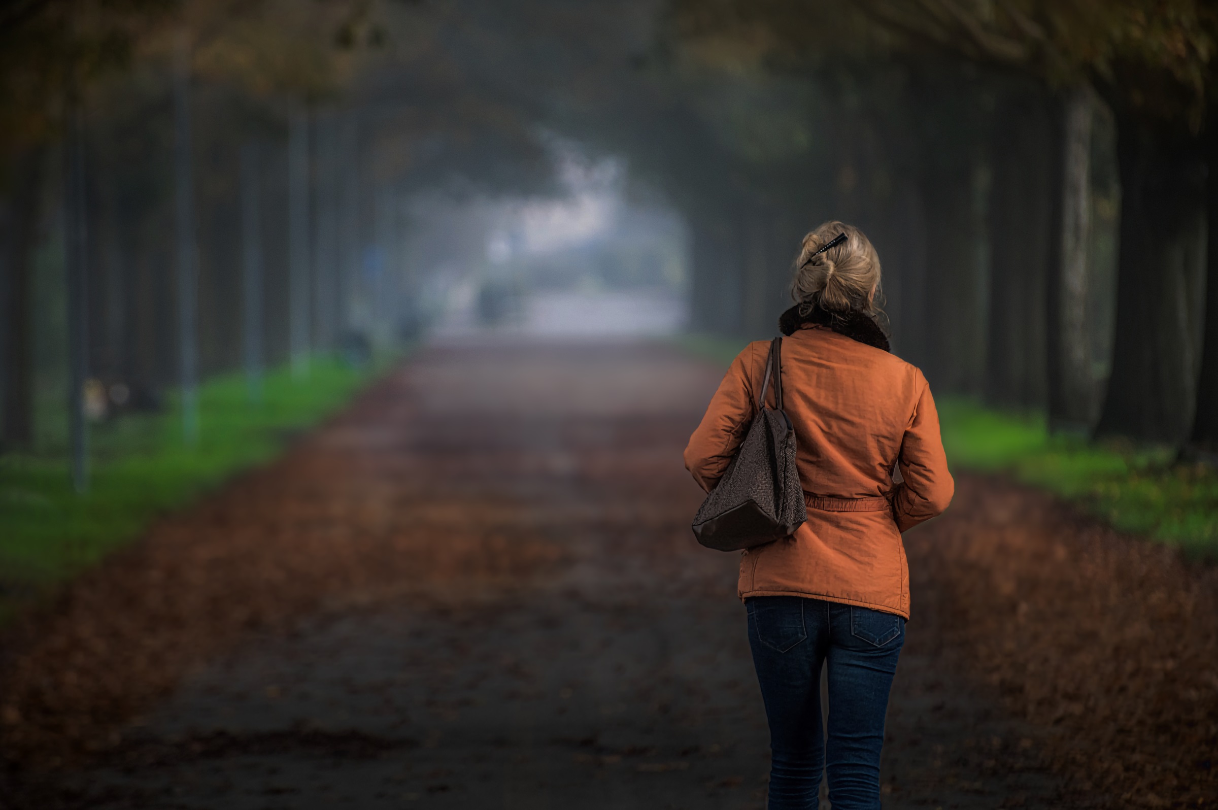 Autumn... the first fog.