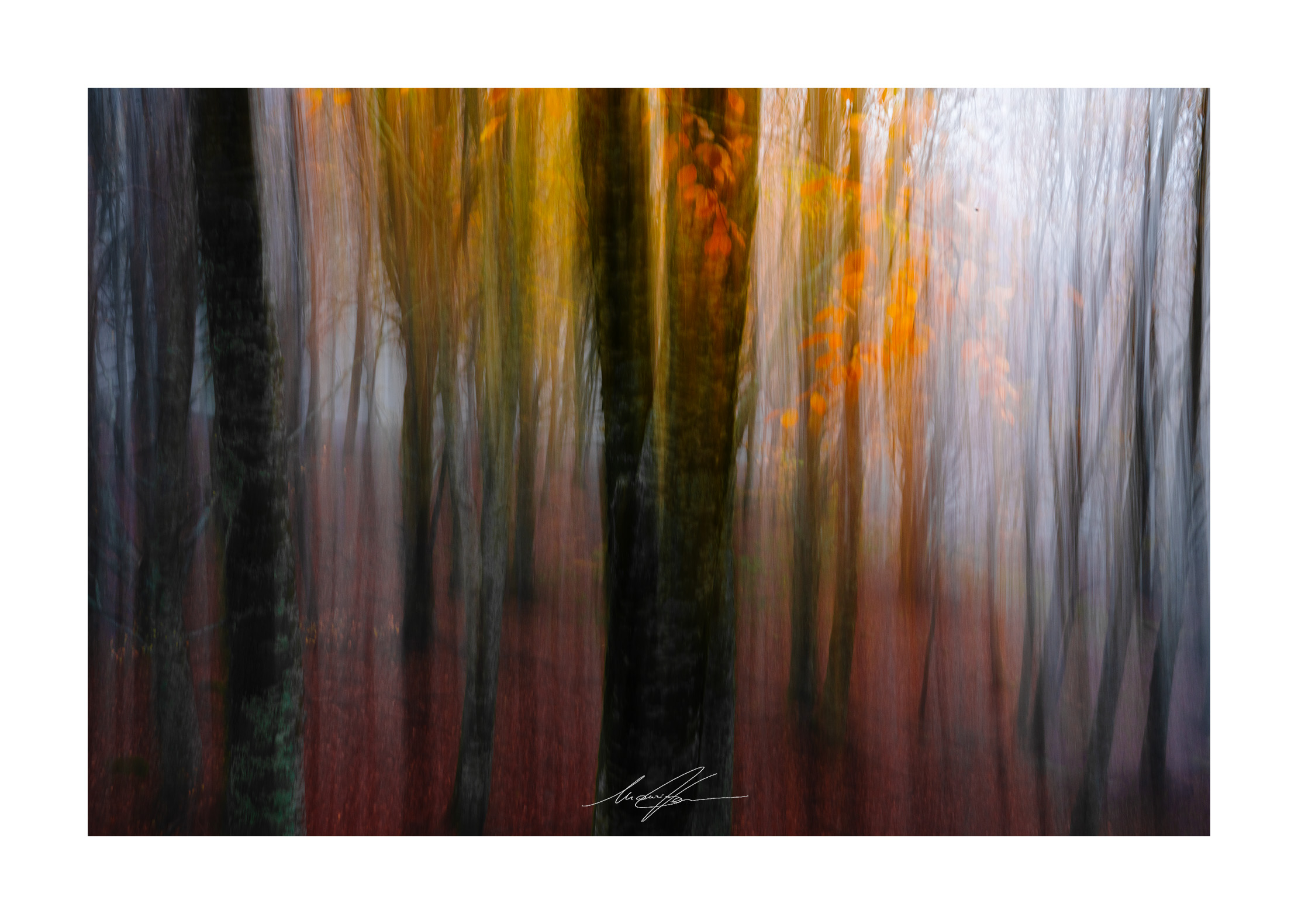 Floating Autumn