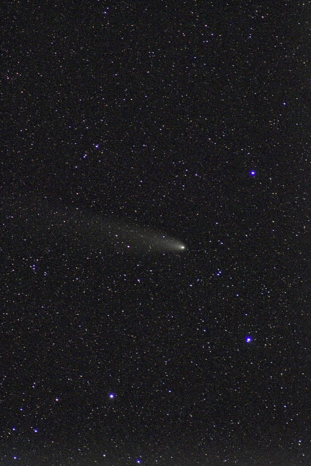 Tsuchinsan-Atlas November 1, 2024