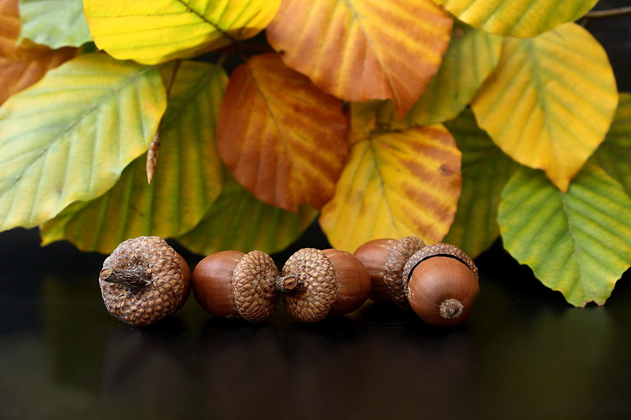 Autumn