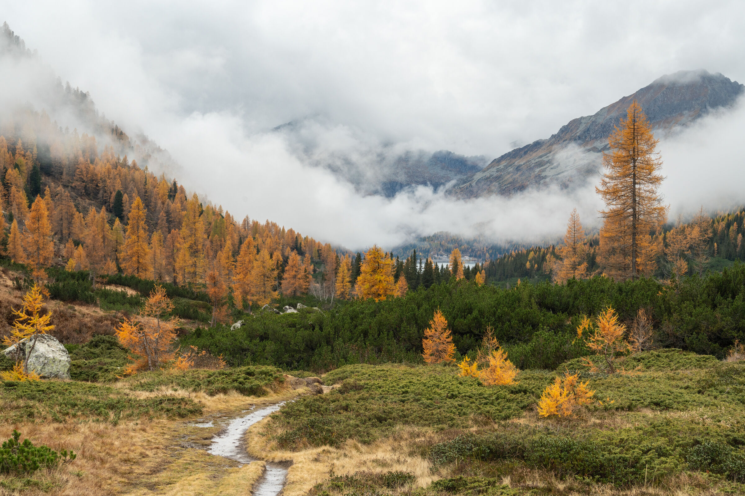 Foliage in Val di Fumo