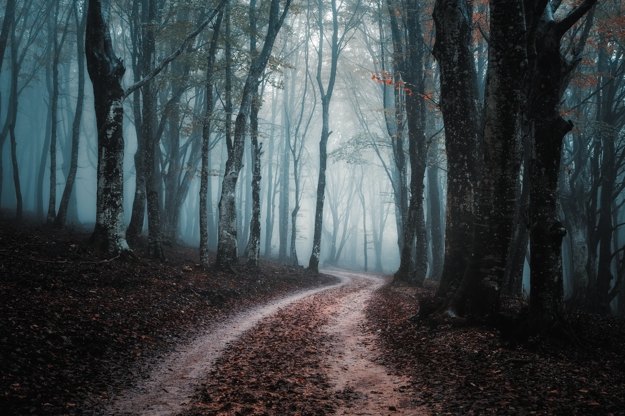 Canfaito fog_4