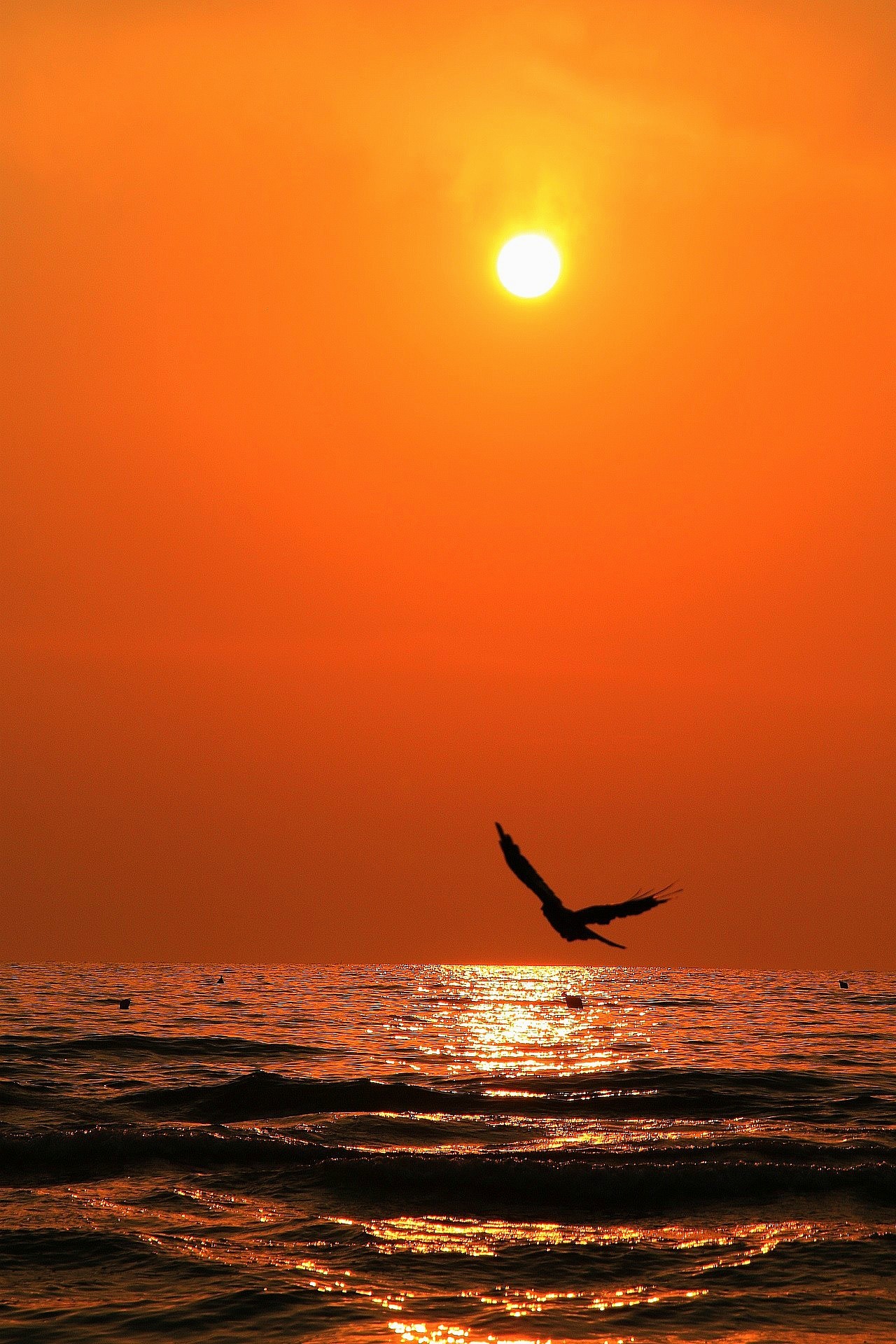 Controluce