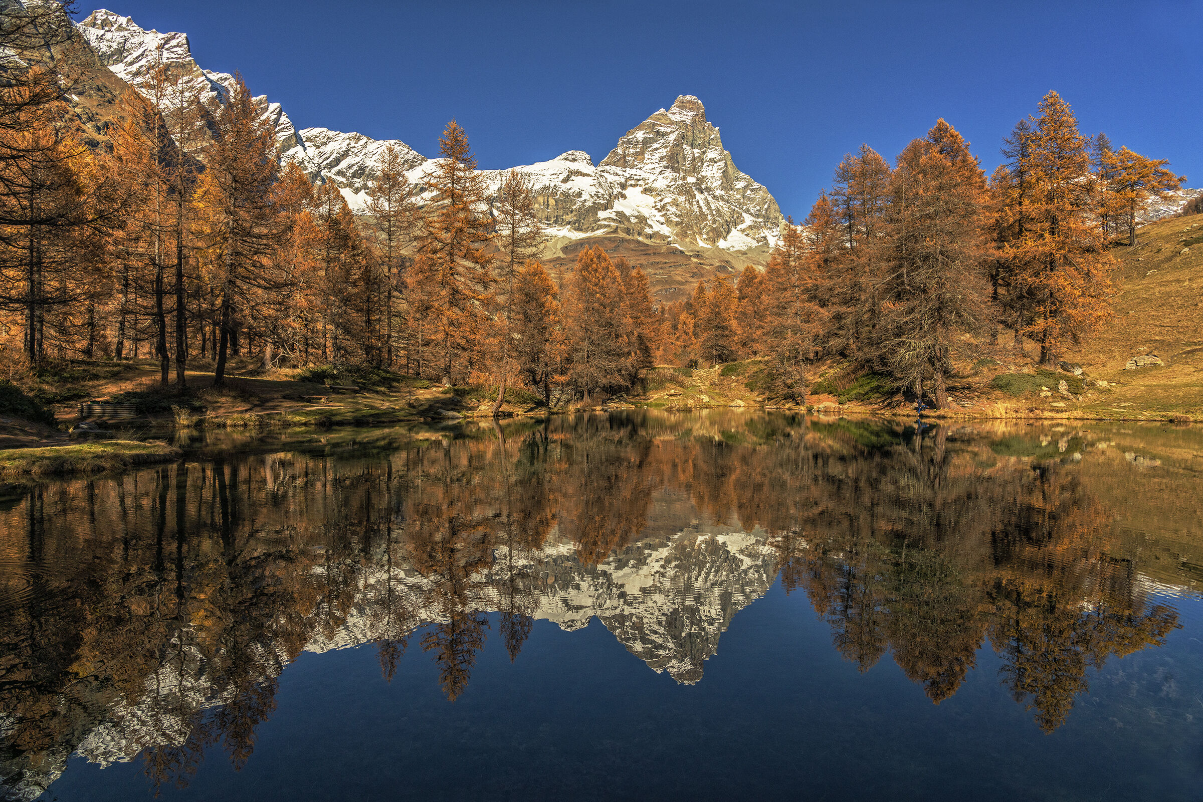 Autumn
