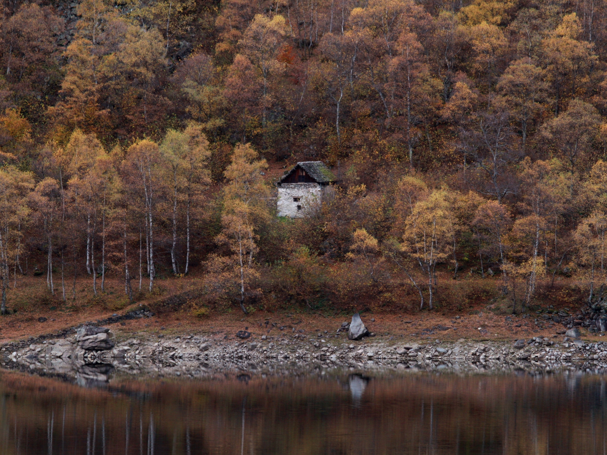 Autunno al lago di Antrona