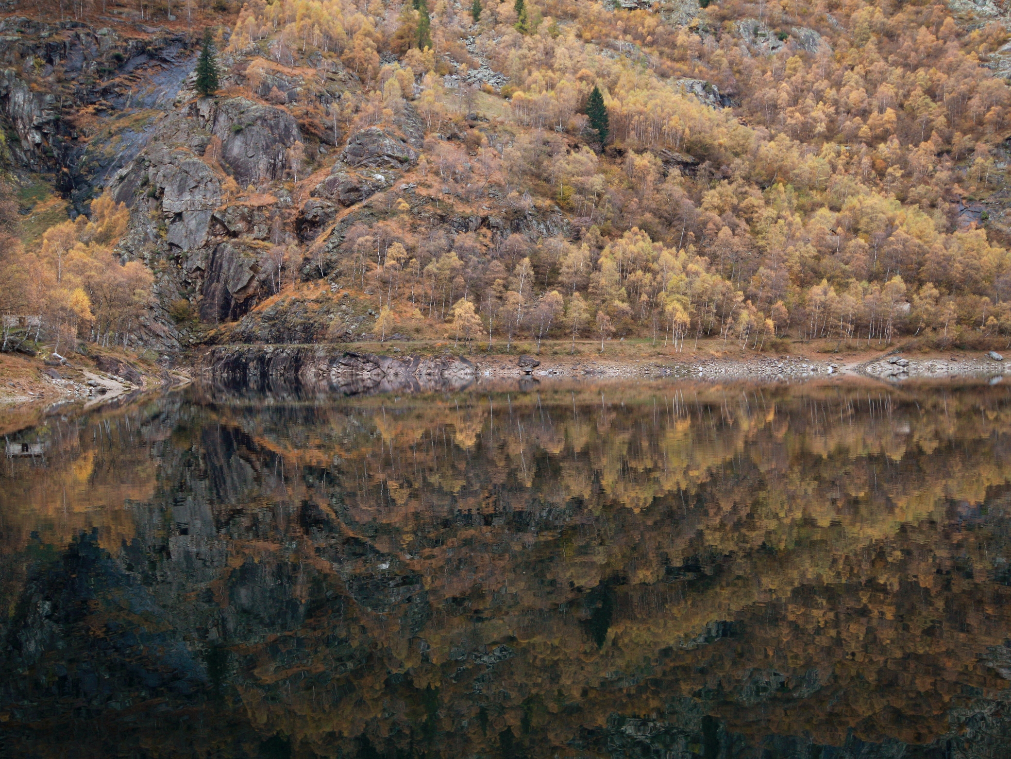 Autunno al lago di Antrona