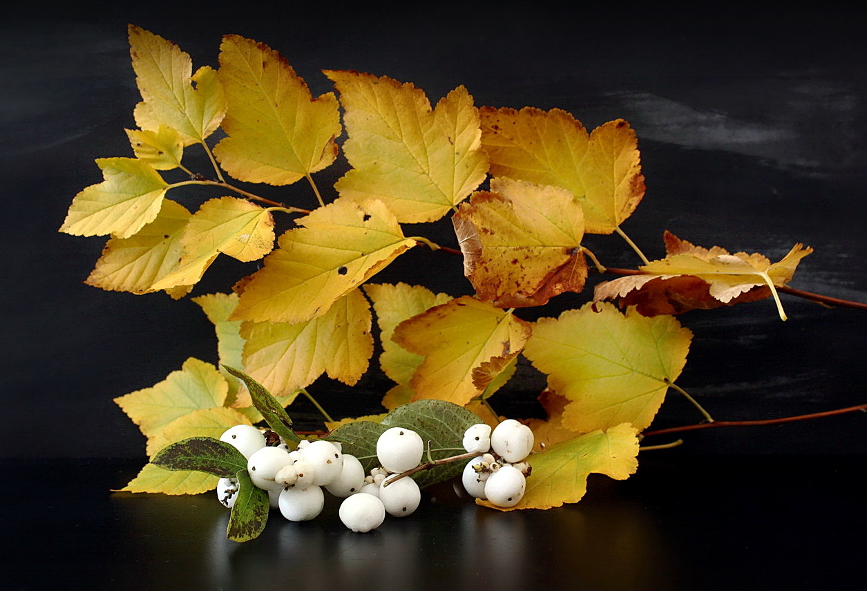 Autumn