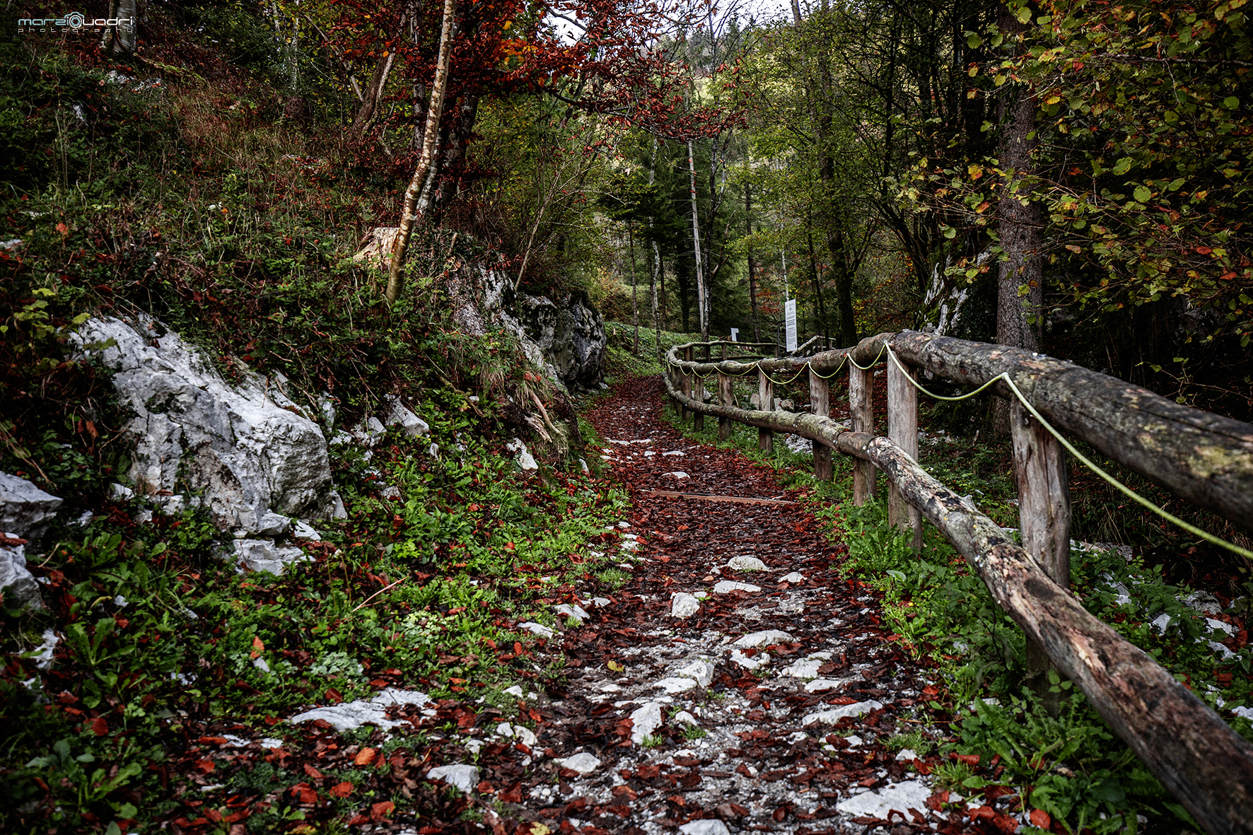 AUTUMN