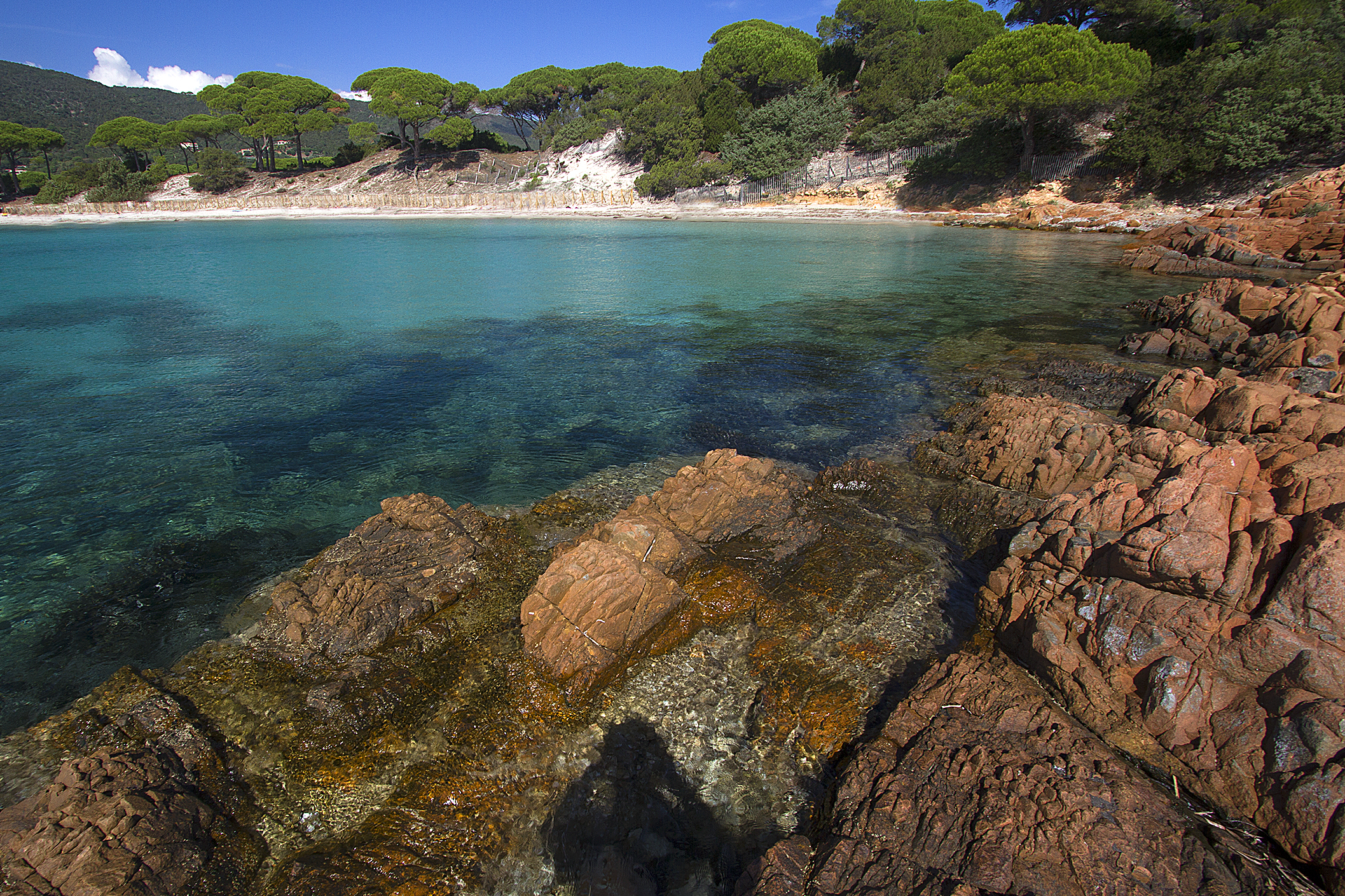 Spiaggia della Palombaggia - Corsica