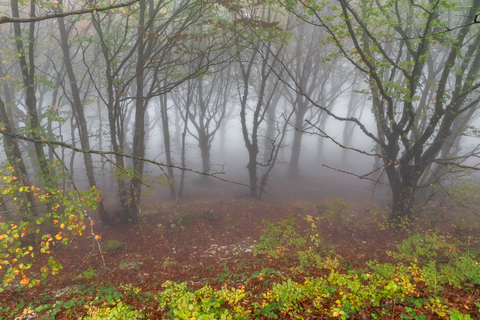 Autumn atmosphere