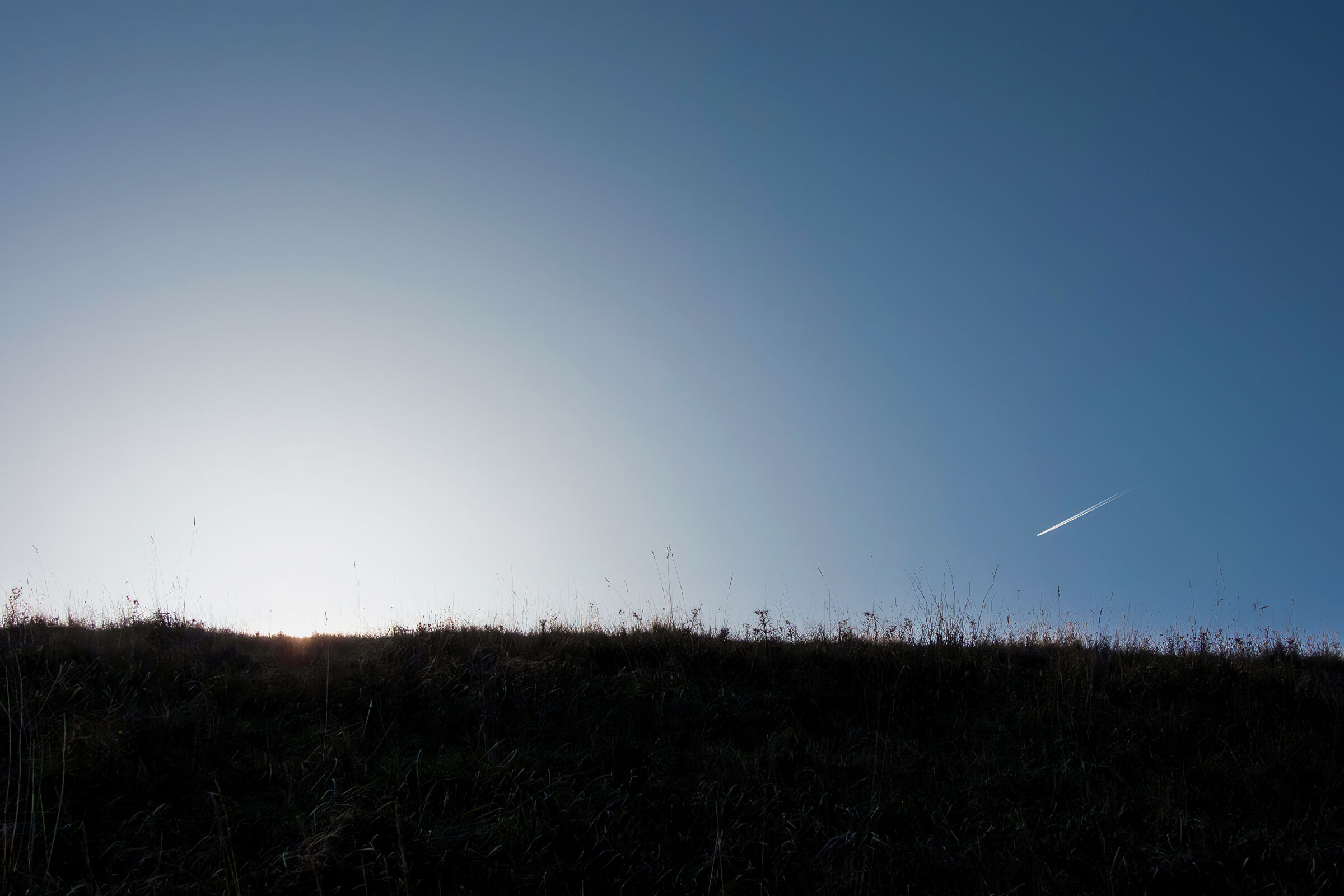 The comet... obviously!