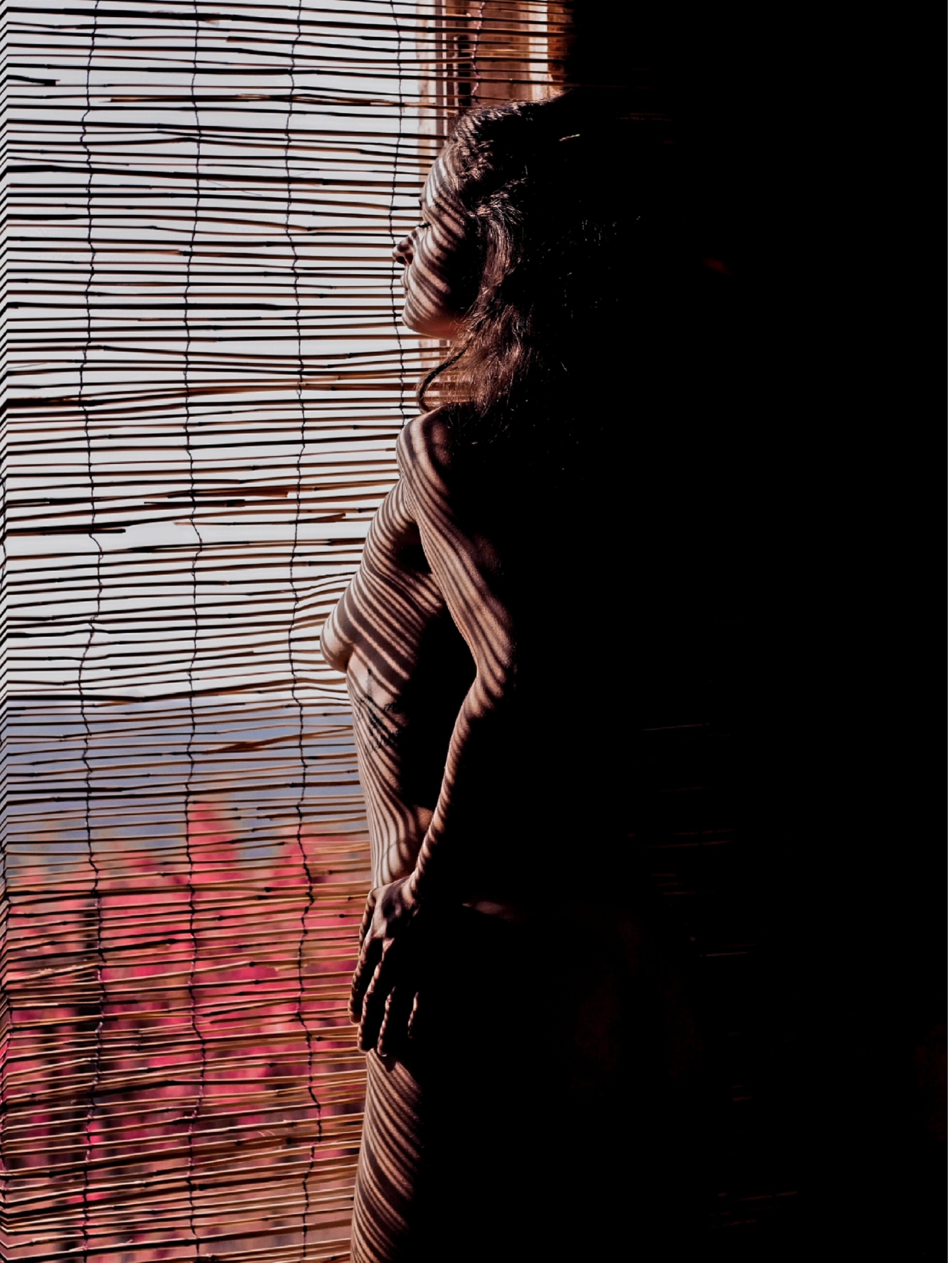 Shadows