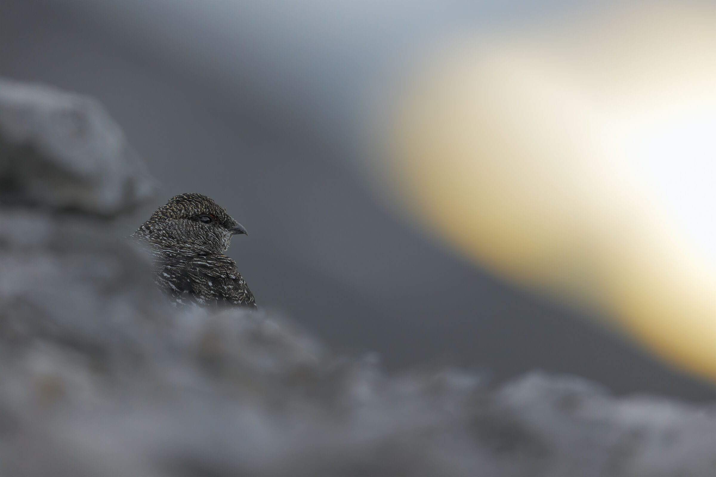 tramonto con la montagna negli occhi