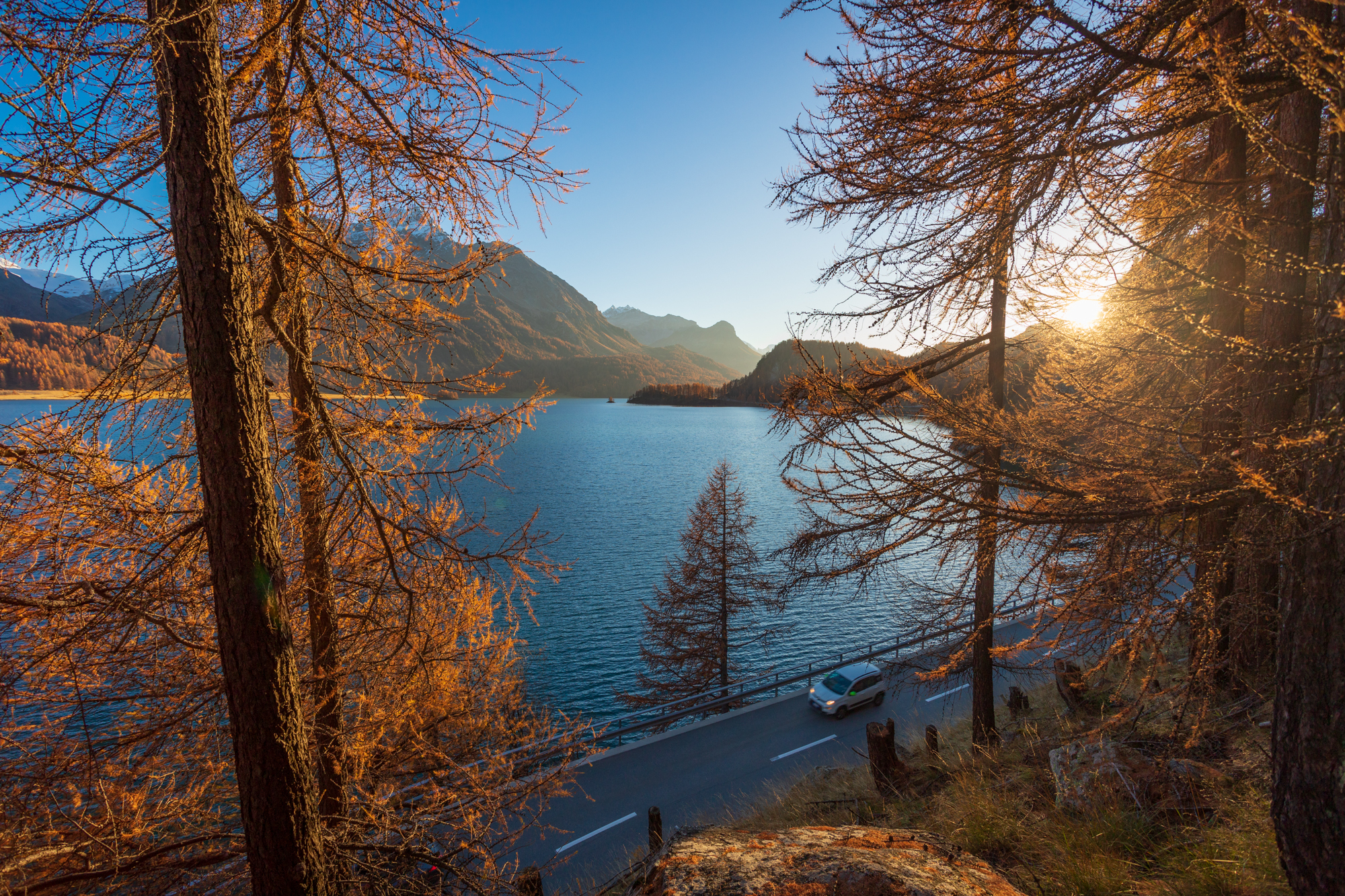 Escape from the city