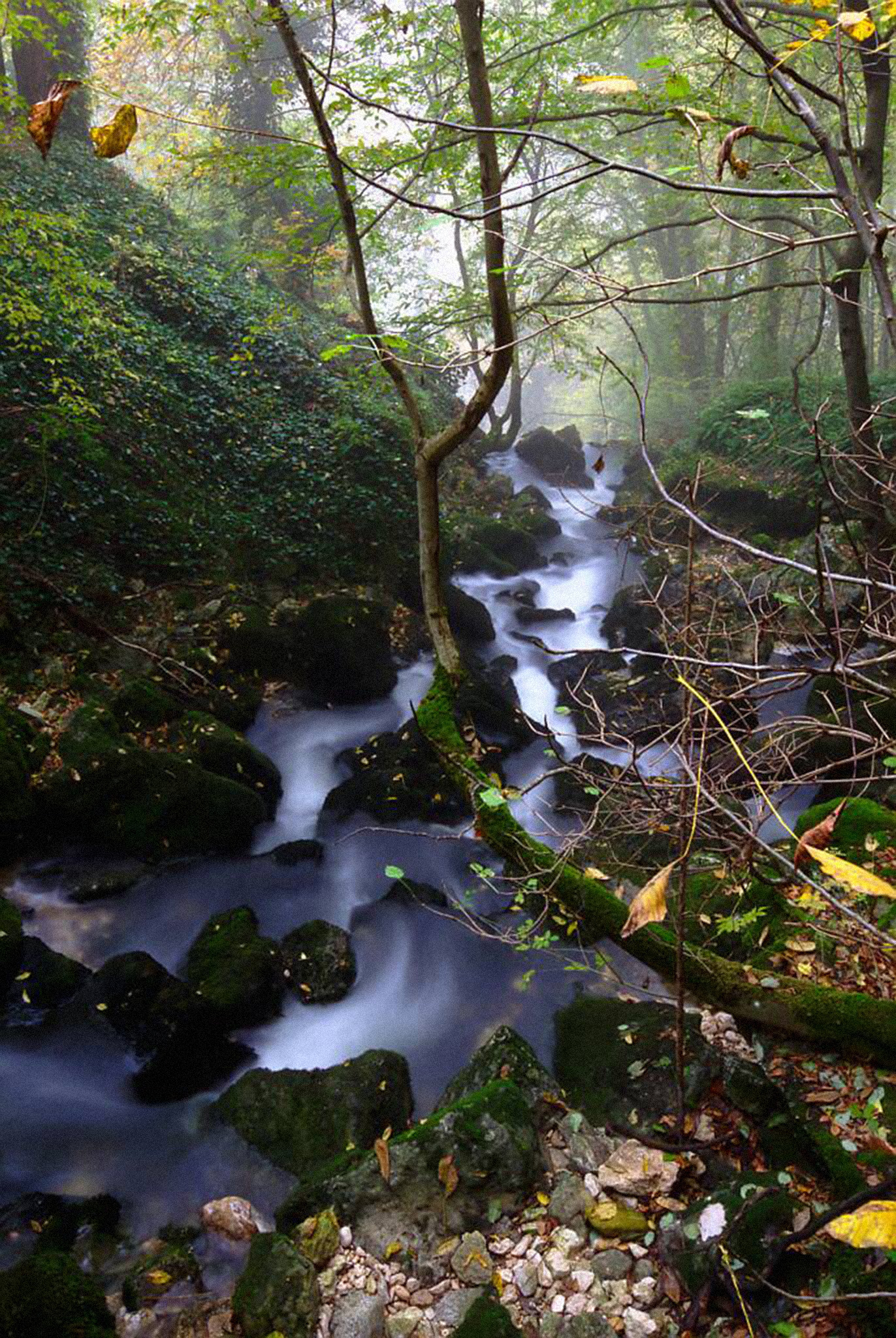 aquae humilitas