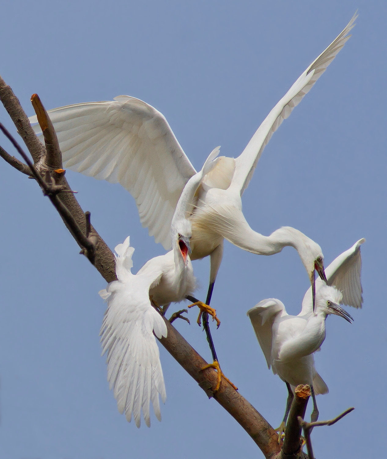 Vuoi Smetterla! Non Ho Piu' Niente