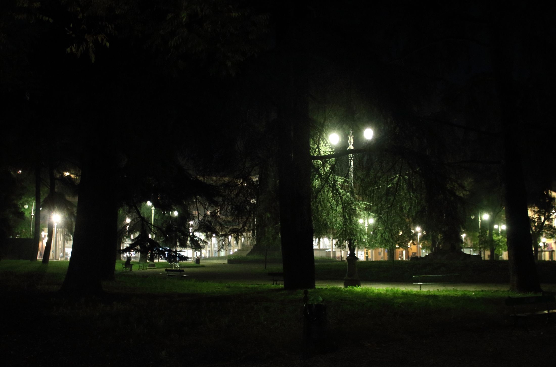 Notte nel parco