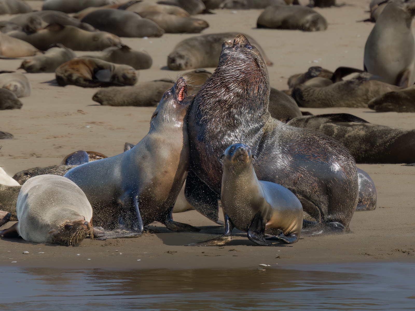 Discussions by the sea