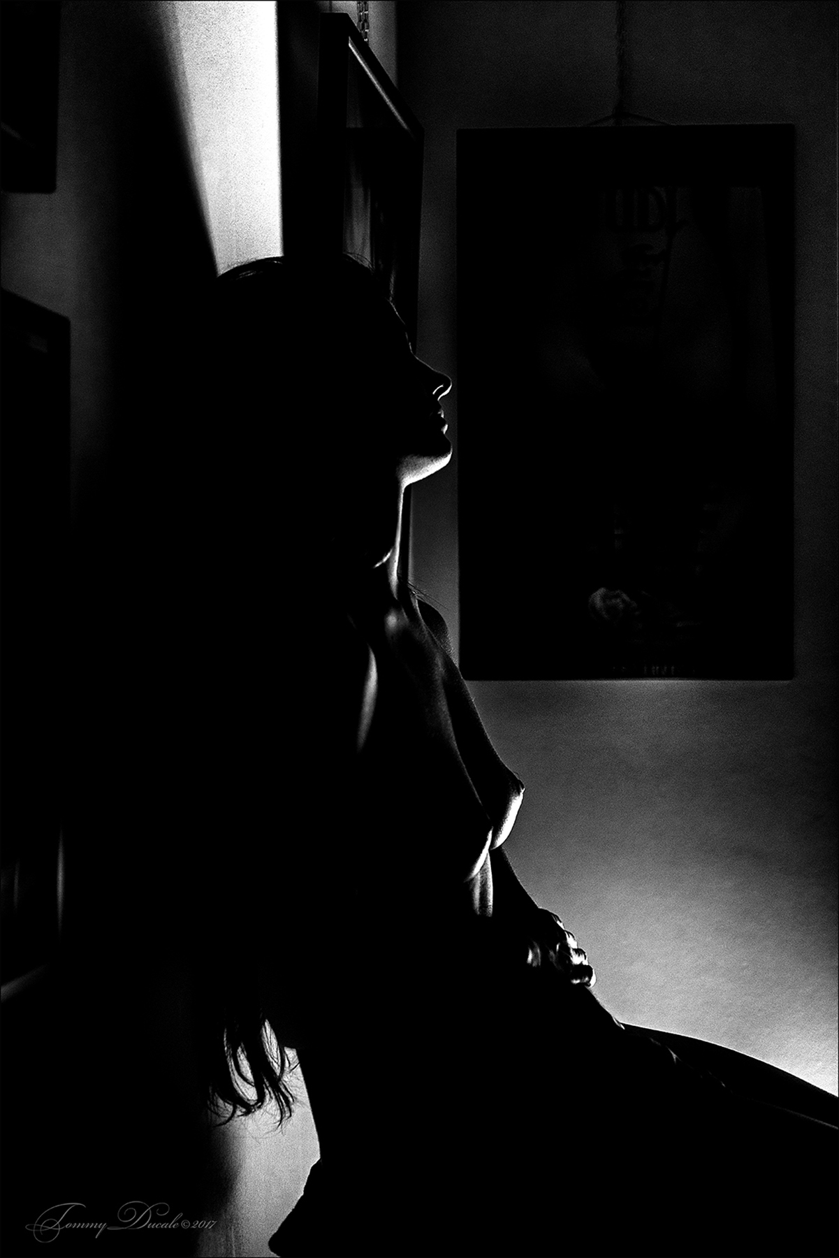 Nell'Ombra