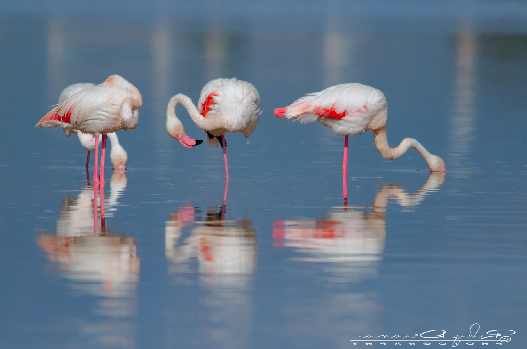 I do not see do not hear do not speak ..