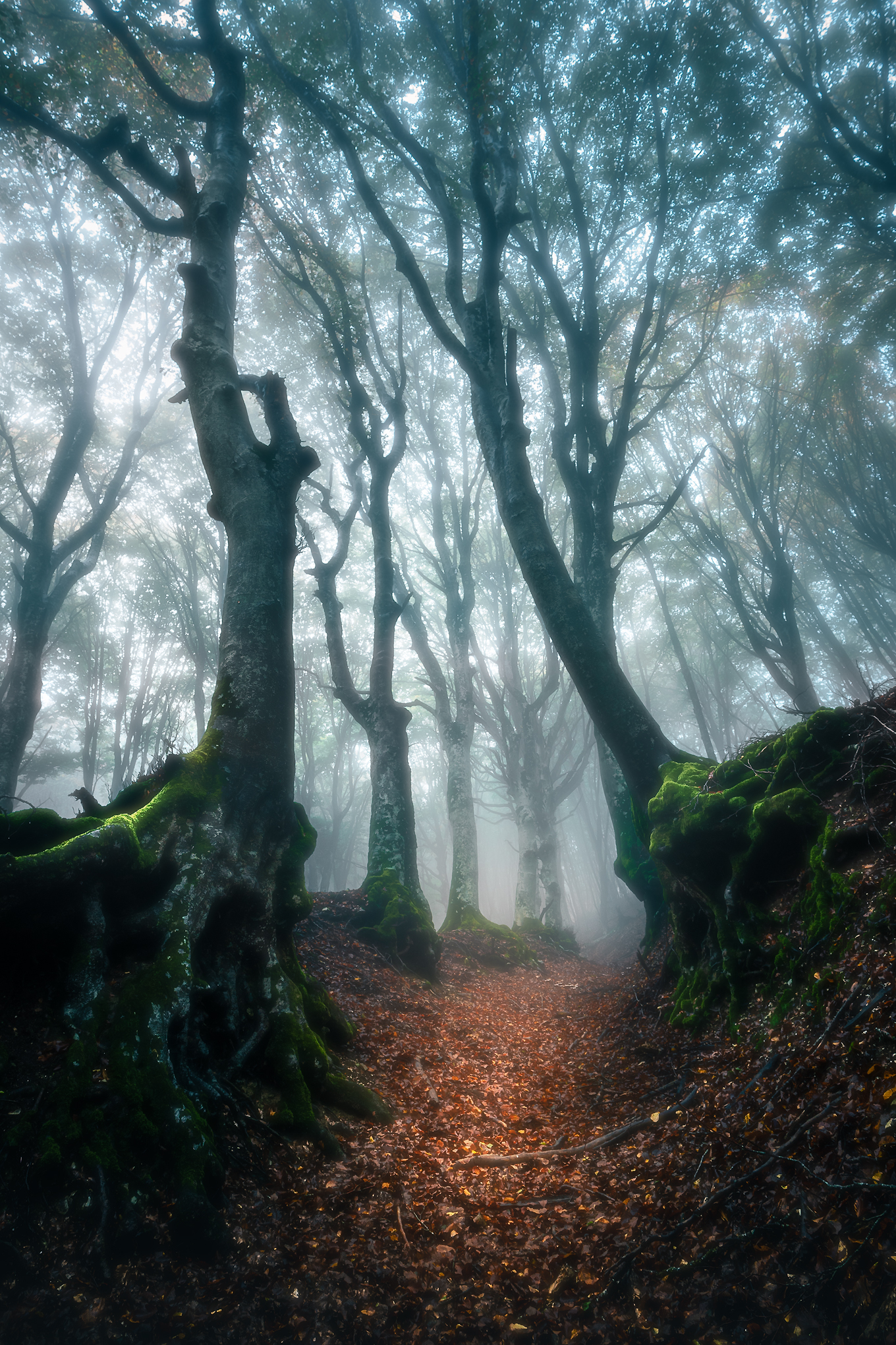 Canfaito fog_7