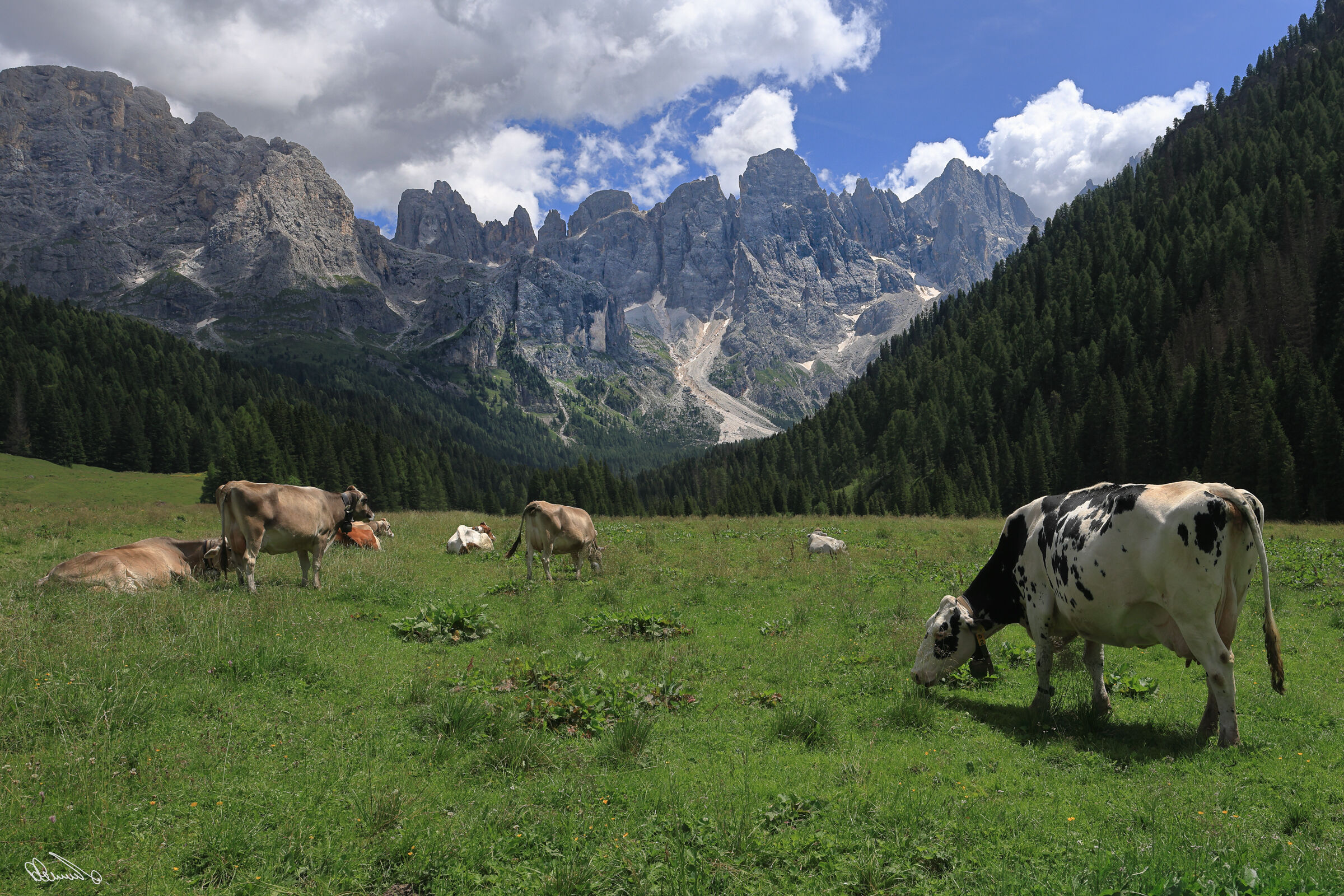Val Venegia
