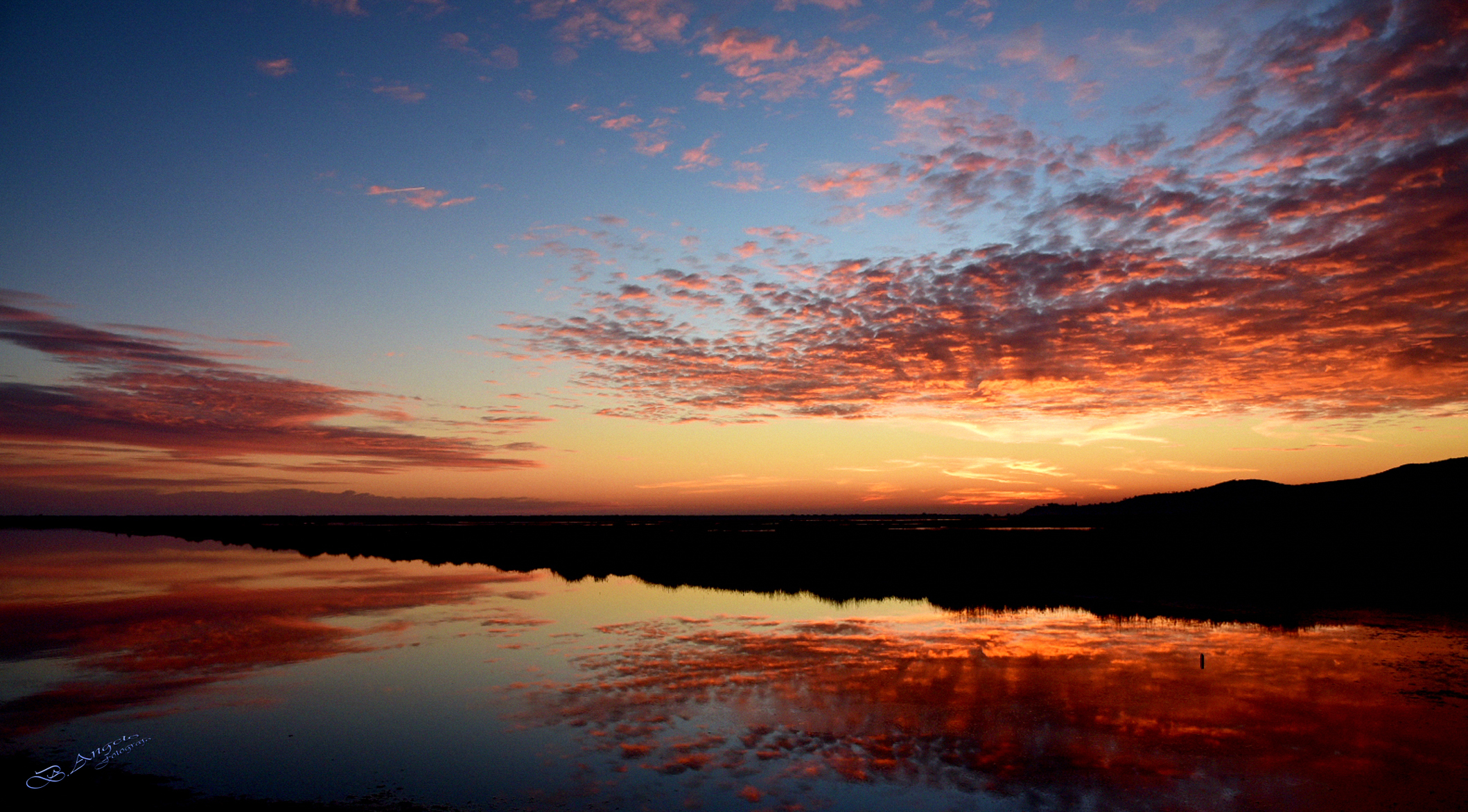 " Sunset in the swamp "