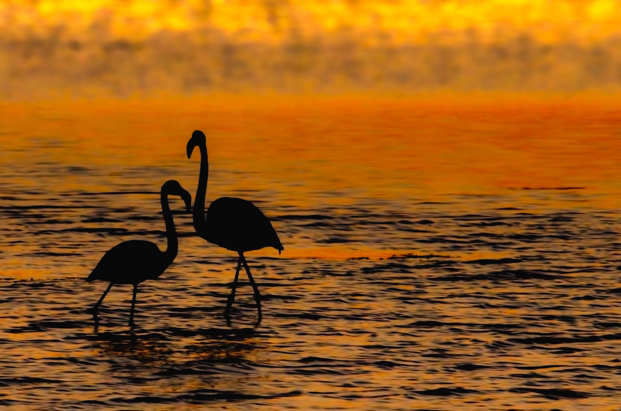 Effusions on Delta ...