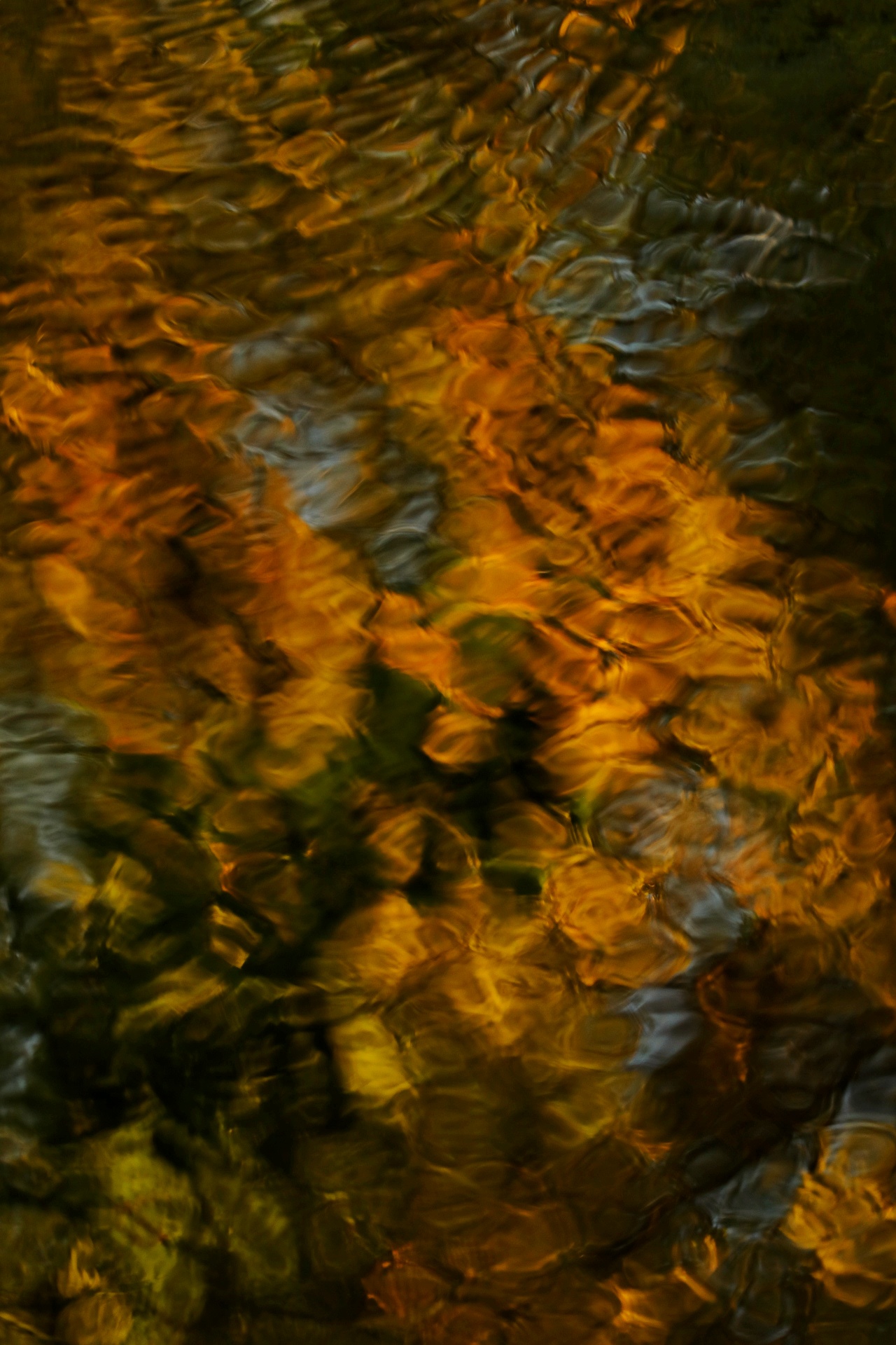 gold in the water