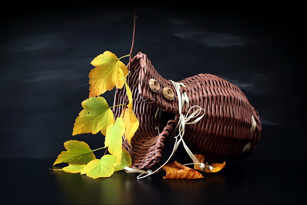 autumn still life