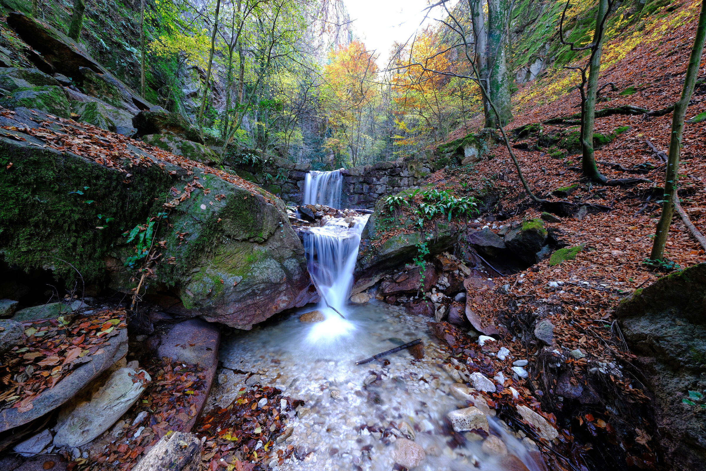 -Il piccolo in Autunno-