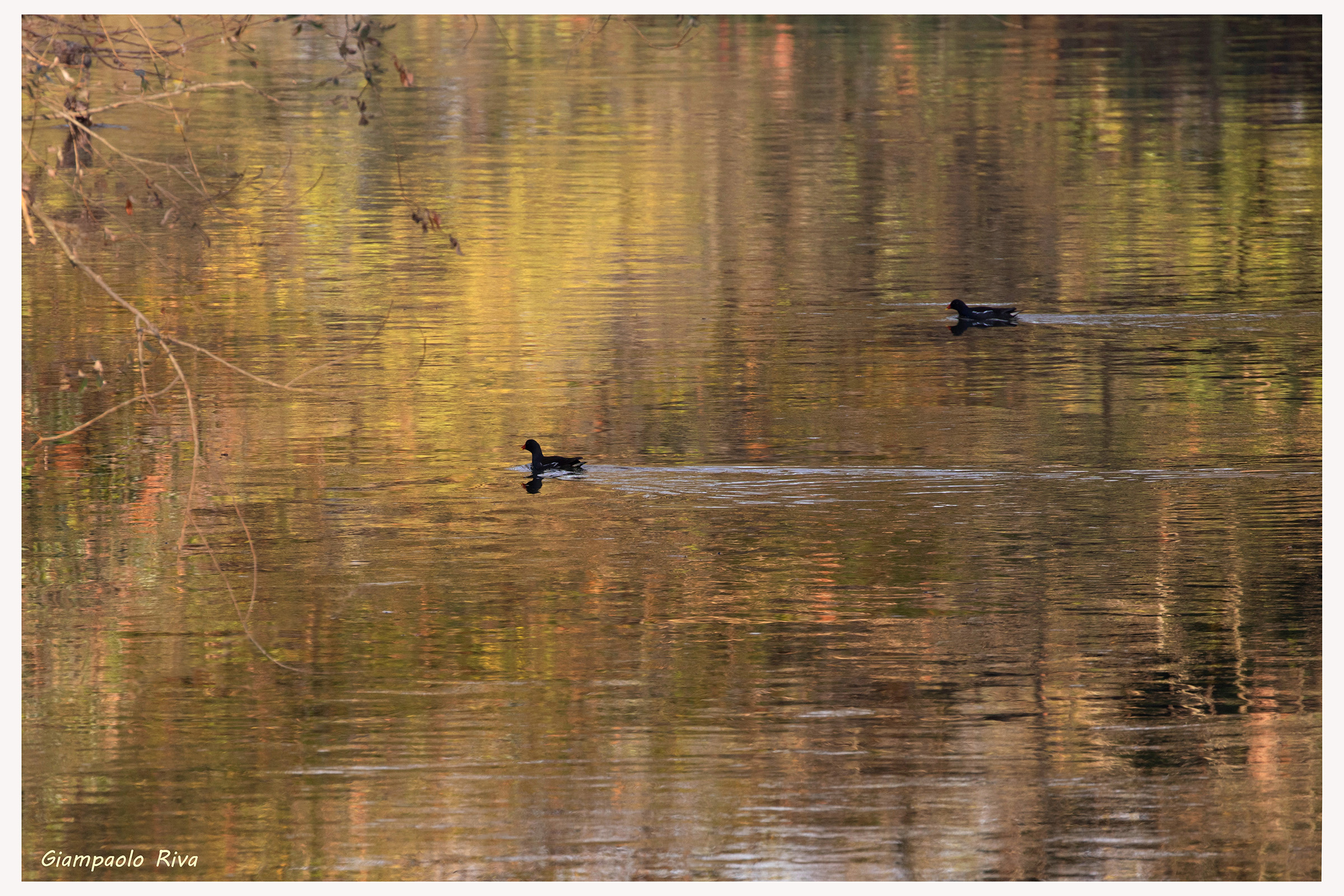 Riflessi autunnali sul Lambro