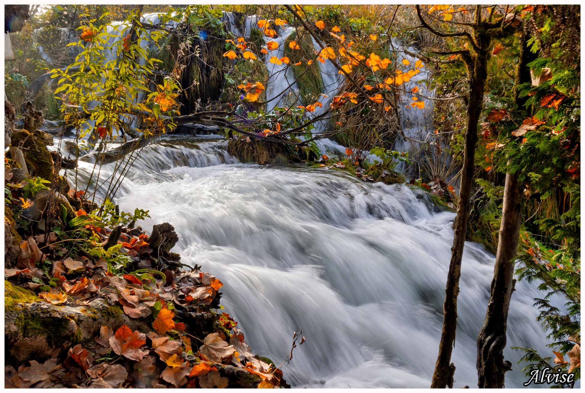 The stream