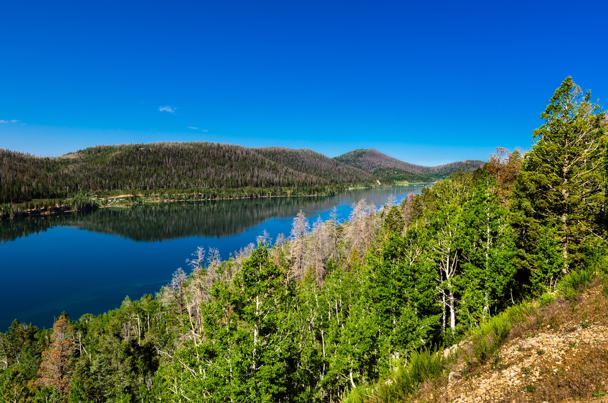 Utah sulla strada per Sion