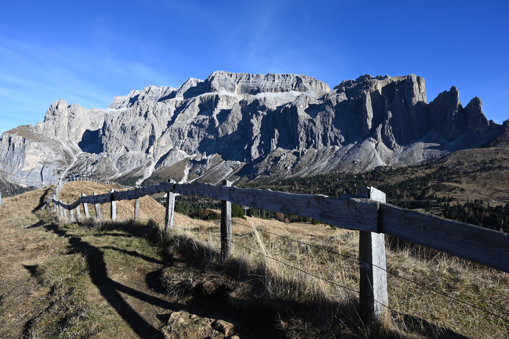 "The fence creates depth"