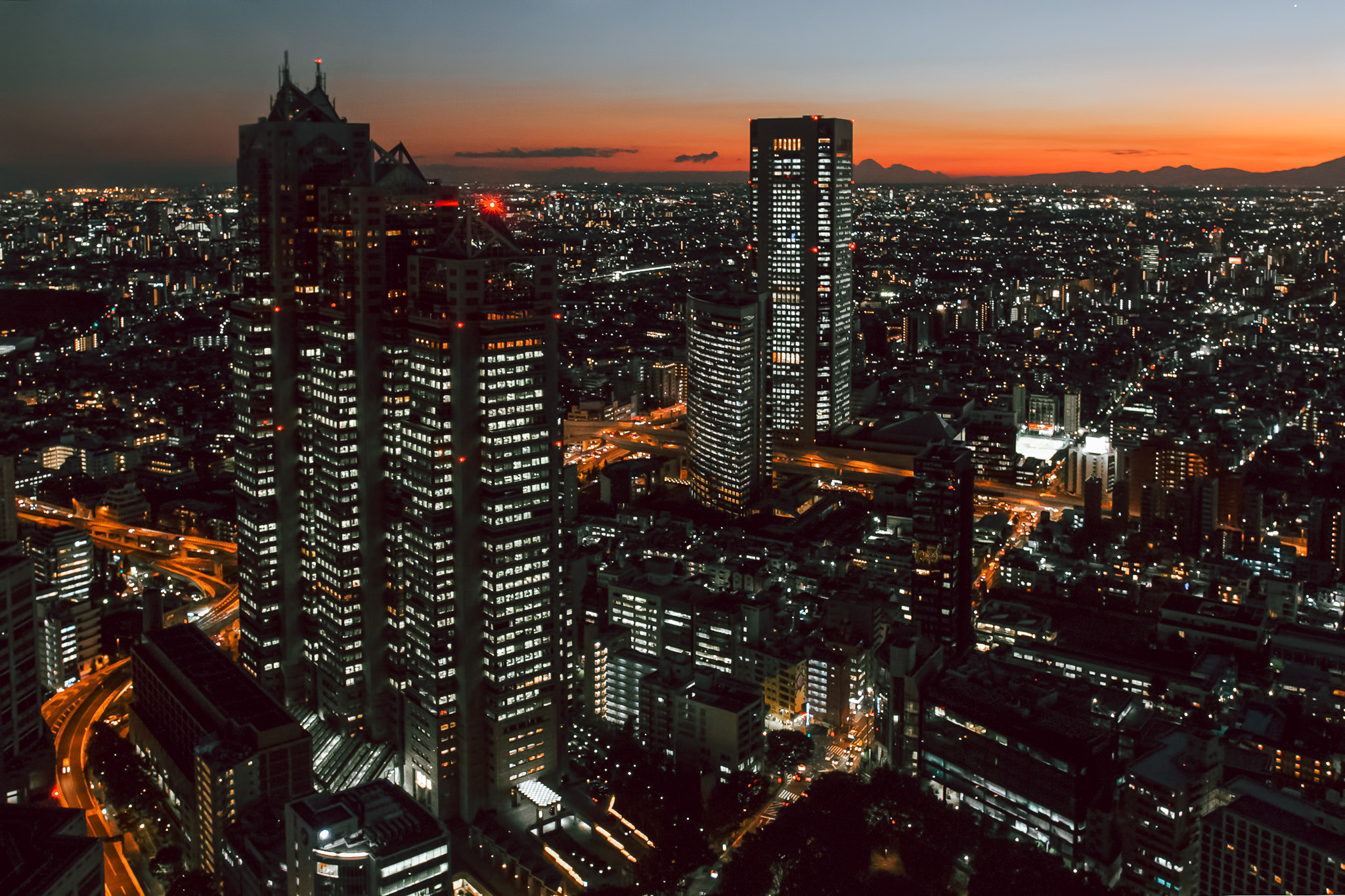 Tokyo from above