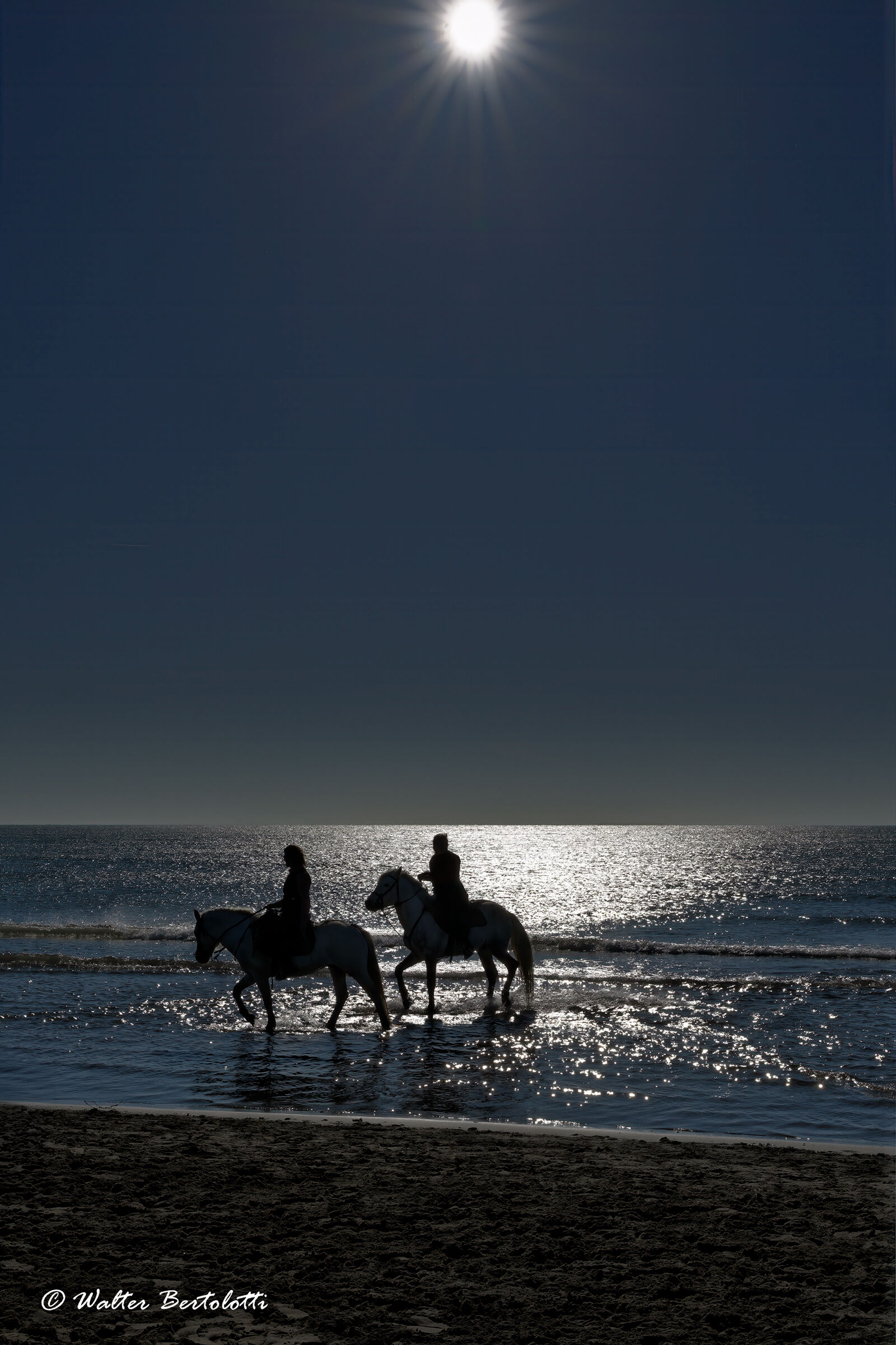 Camargue