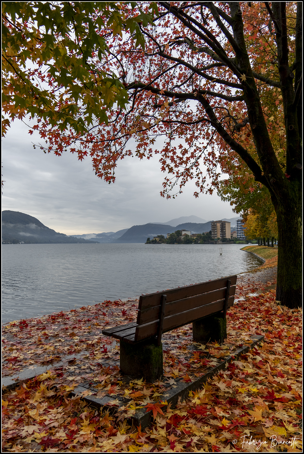 Autumn on the lakefront