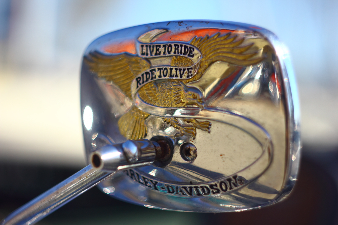 Live to Ride, Ride to Live