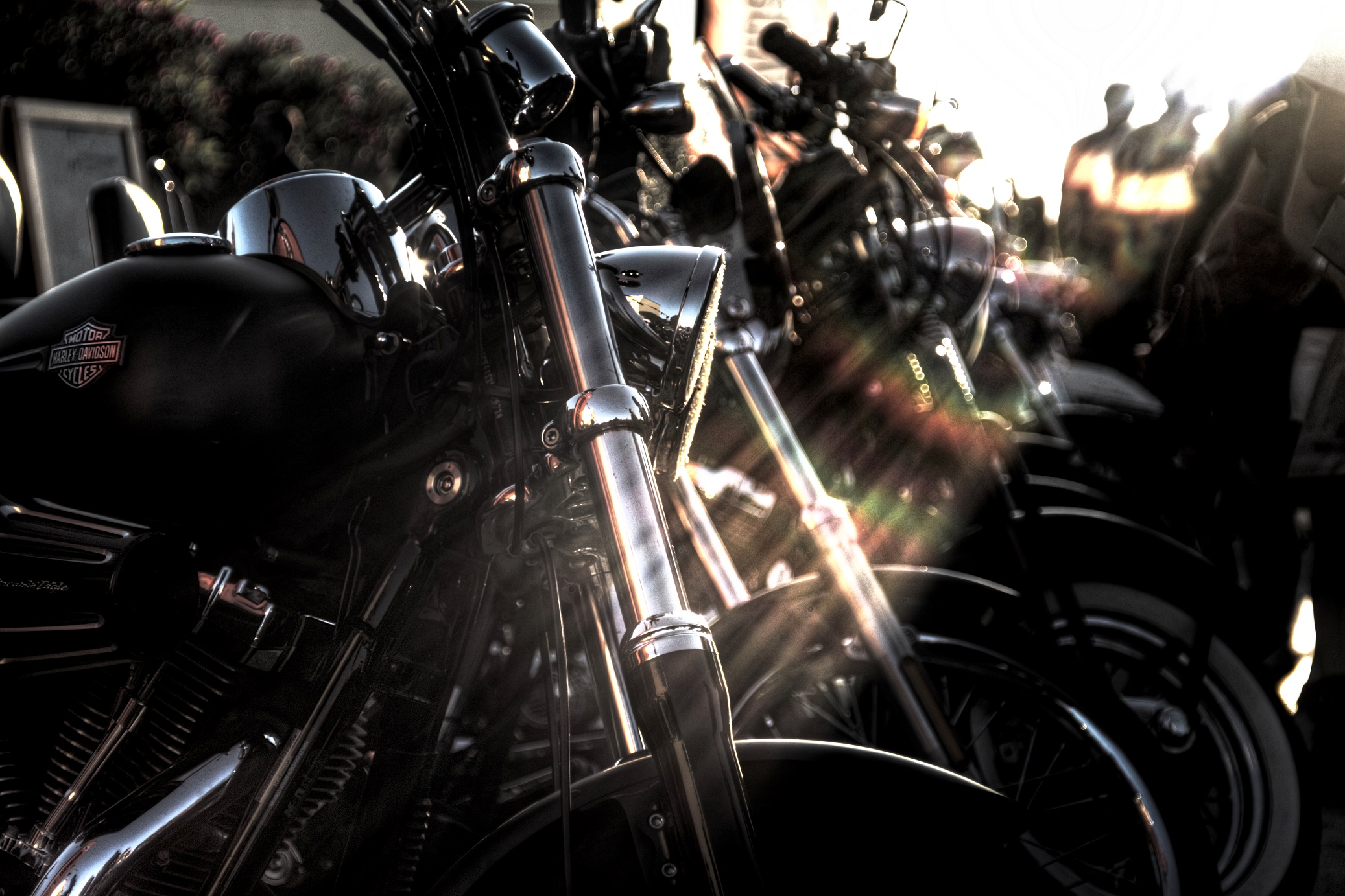 Un raggio di sole per le Harley