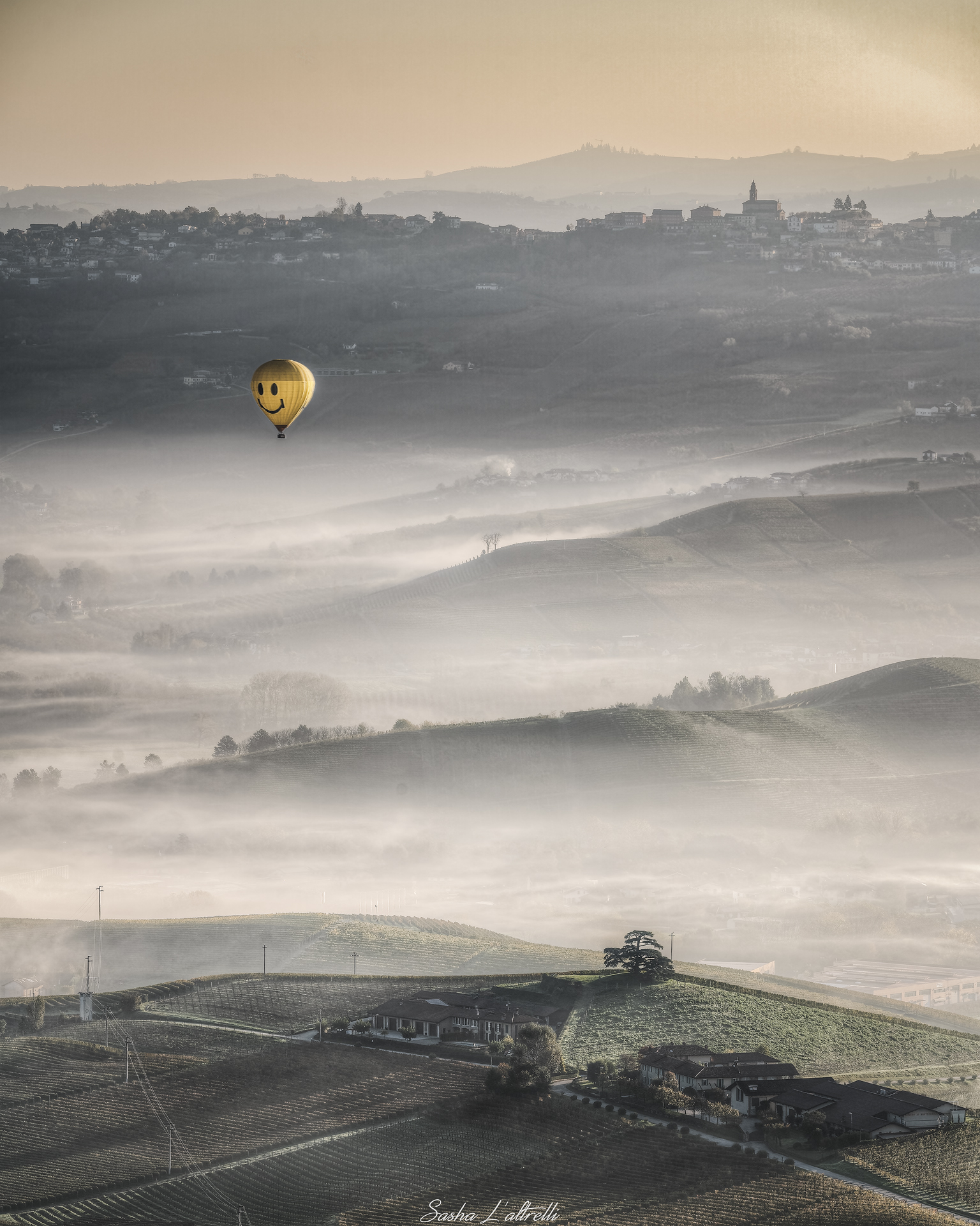 mongolfiera e cedro dell'ibano