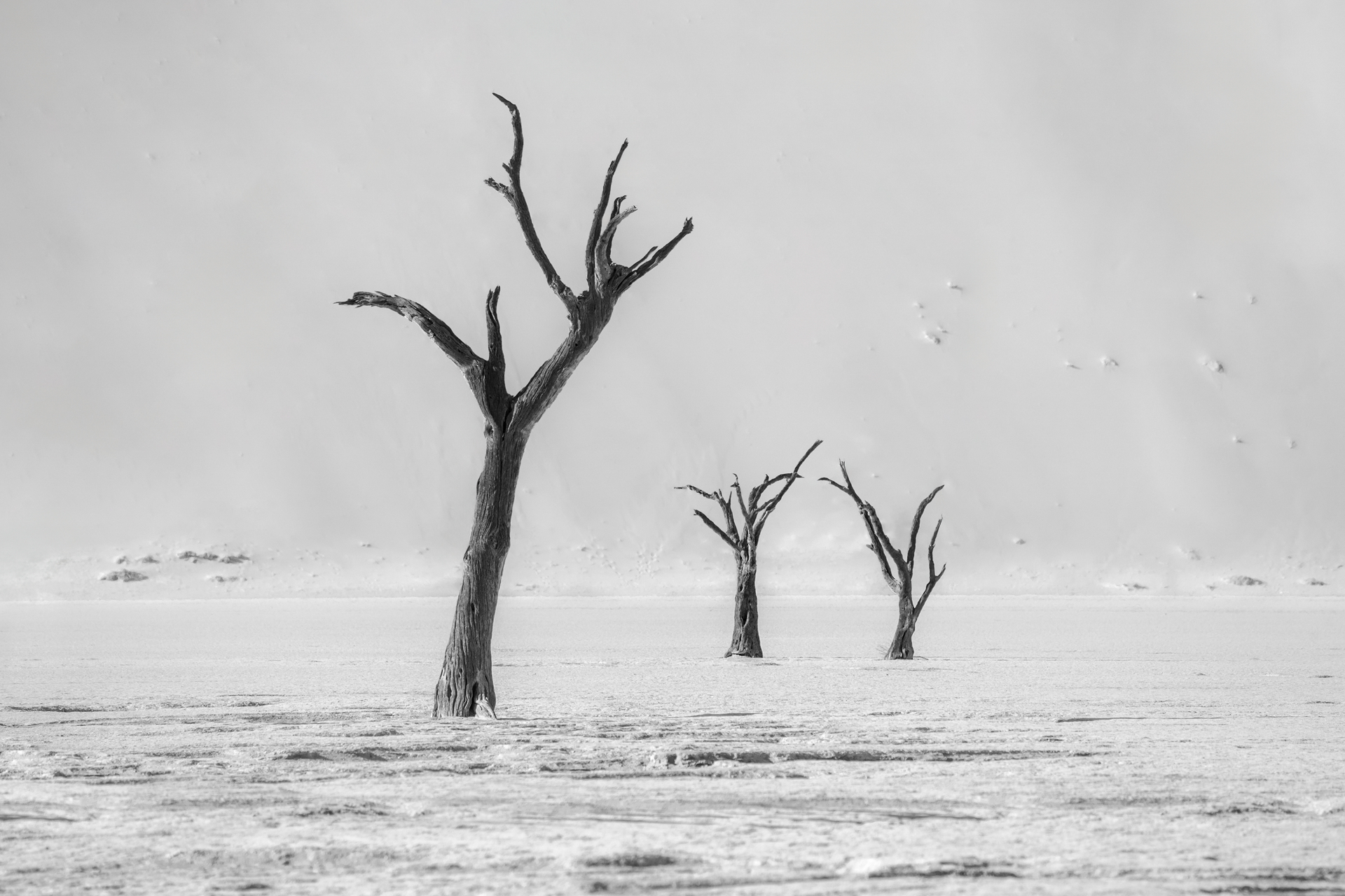 Deadvlei to BNW