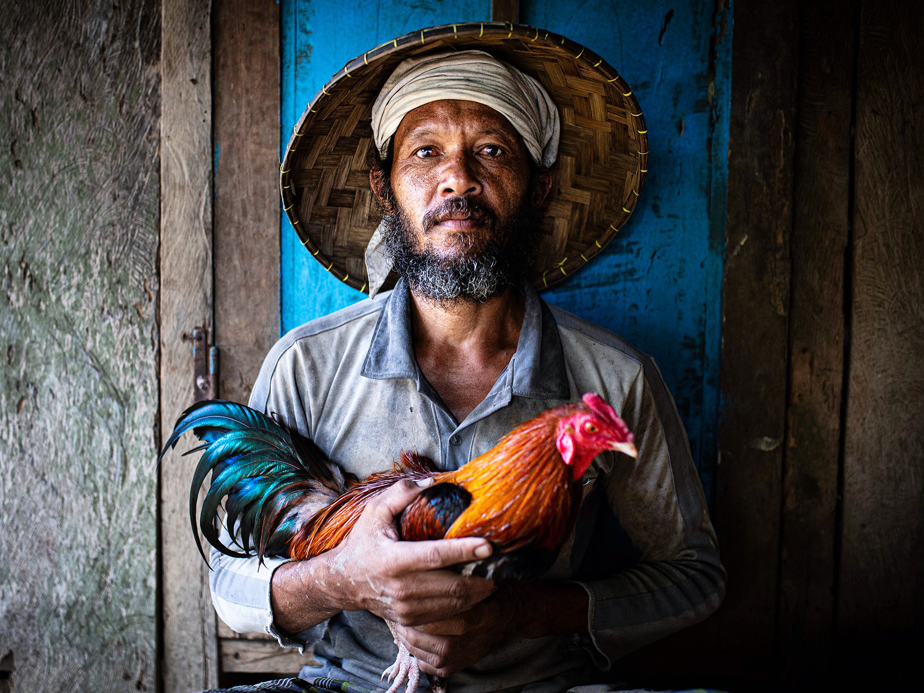 Man with rooster .. Indonesia 2021