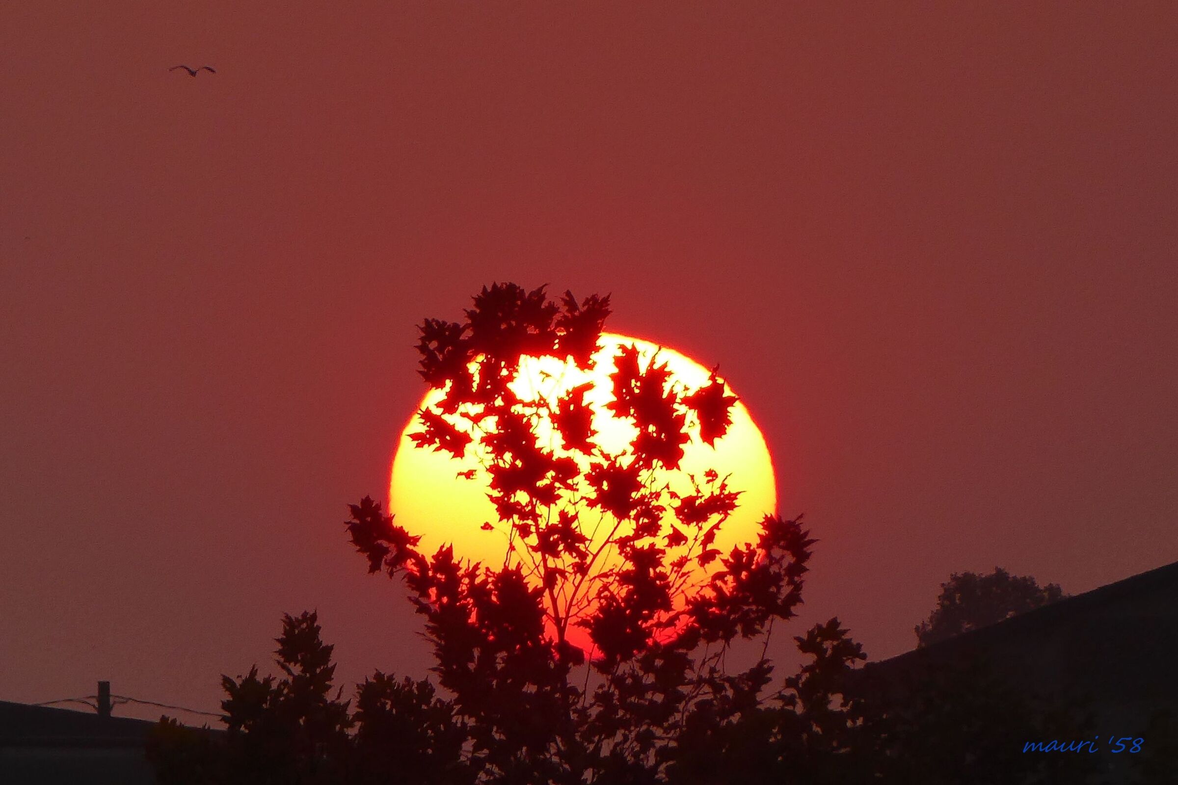 Tramonto padano