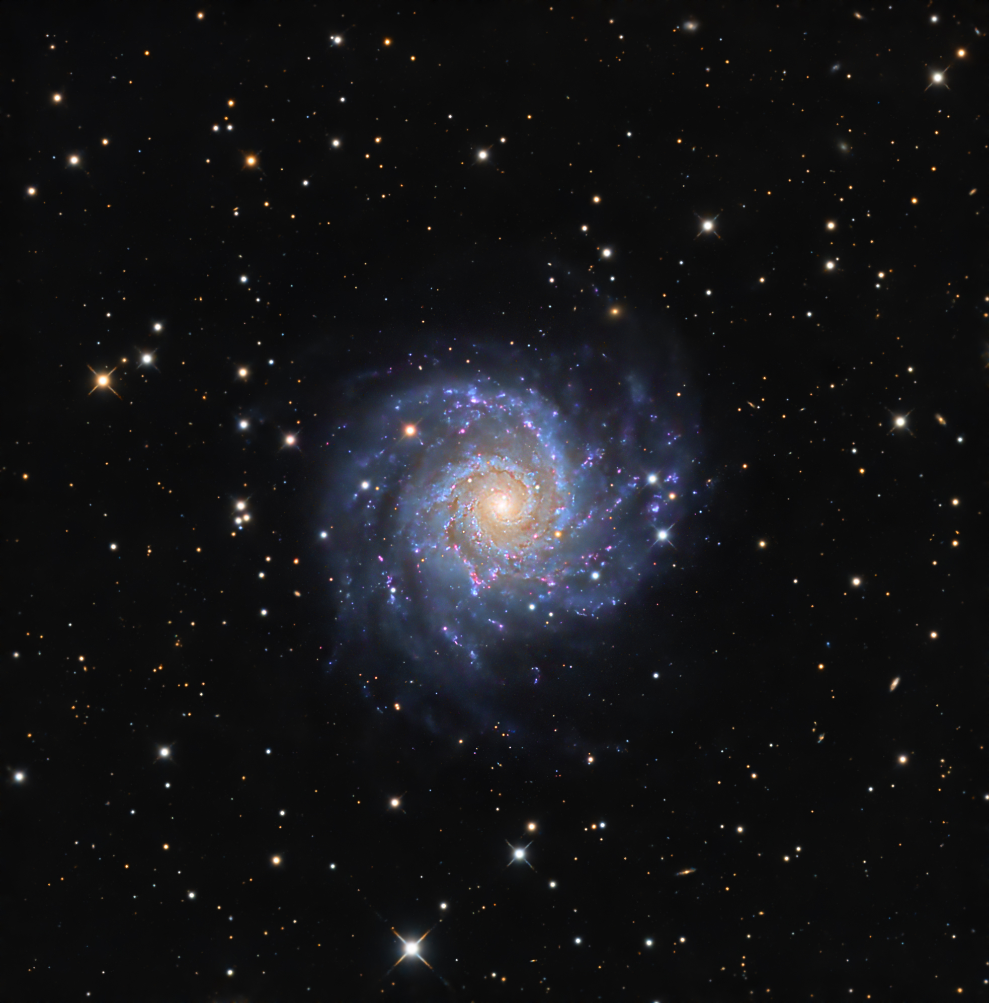M74