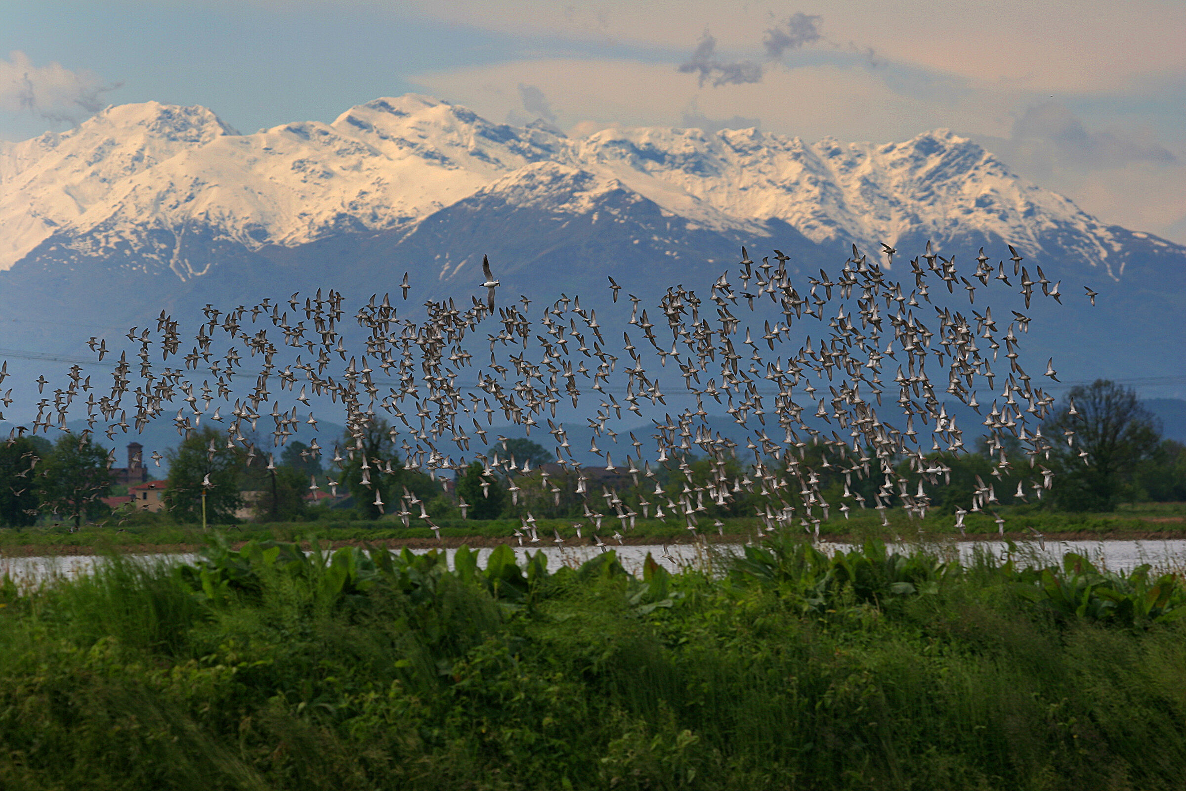 Fighters - Monte Rosa - Vercelli rice fields