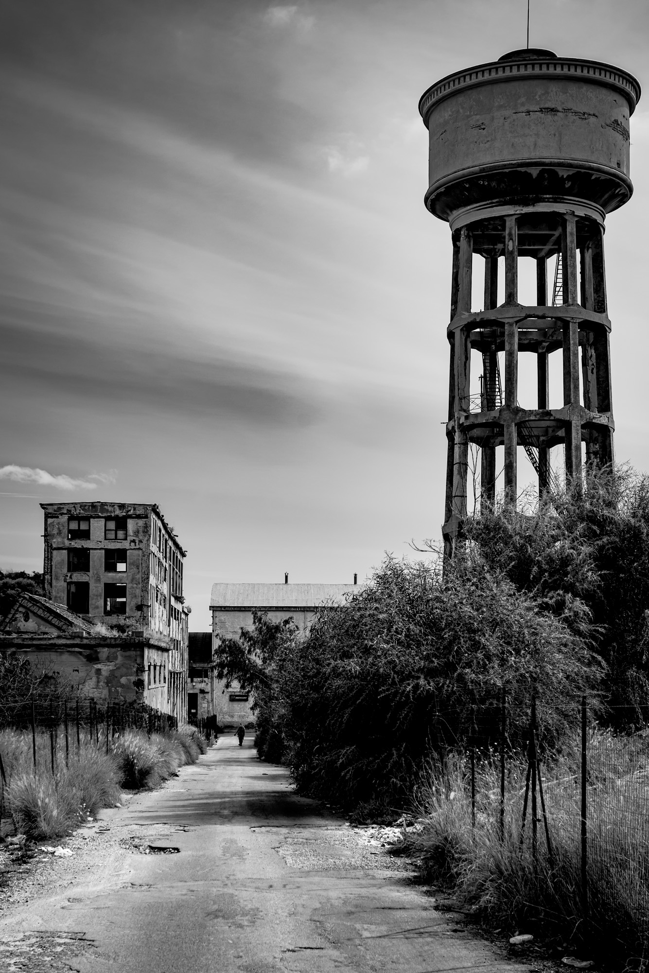 Ex chimica
